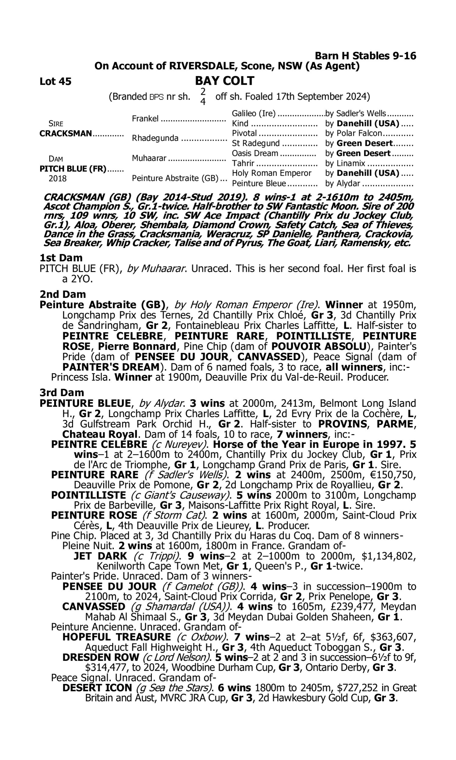 Pedigree for Lot 45 Cracksman (GB) - Pitch Blue (FR)