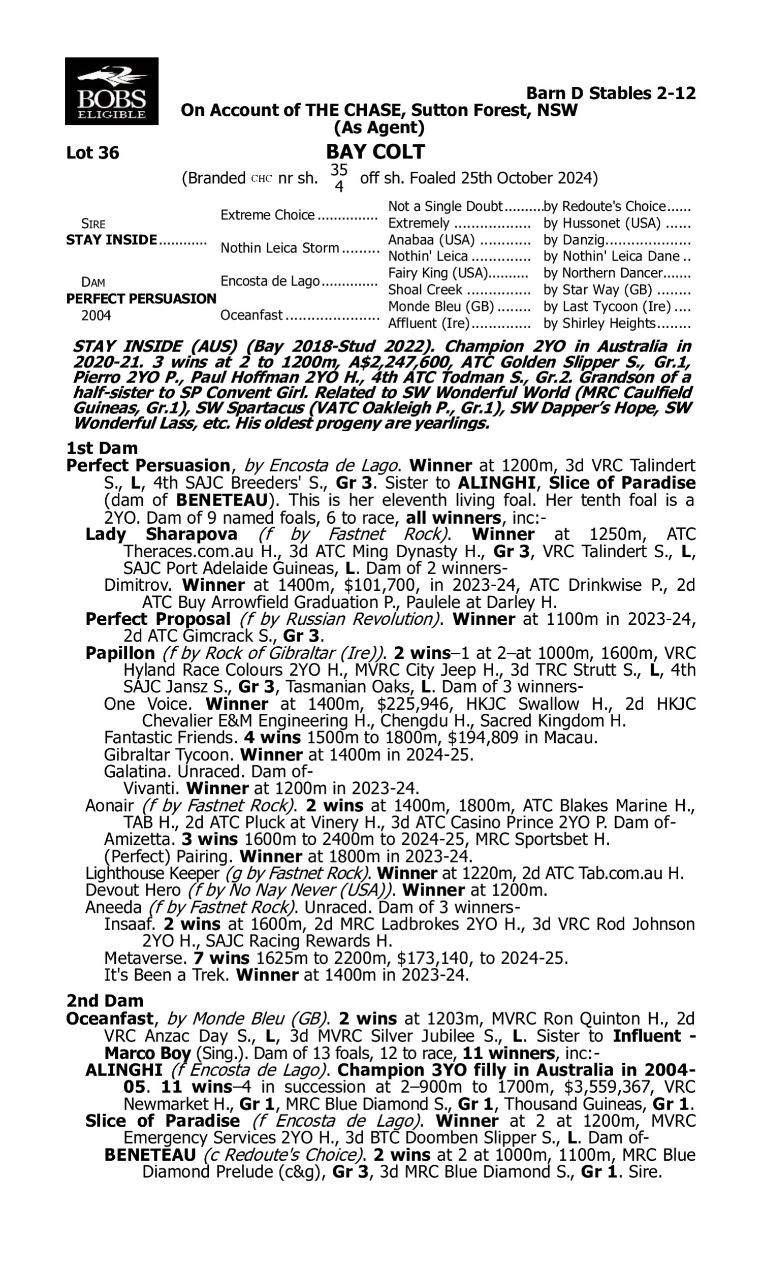 Pedigree for Lot 36 Stay Inside - Perfect Persuasion