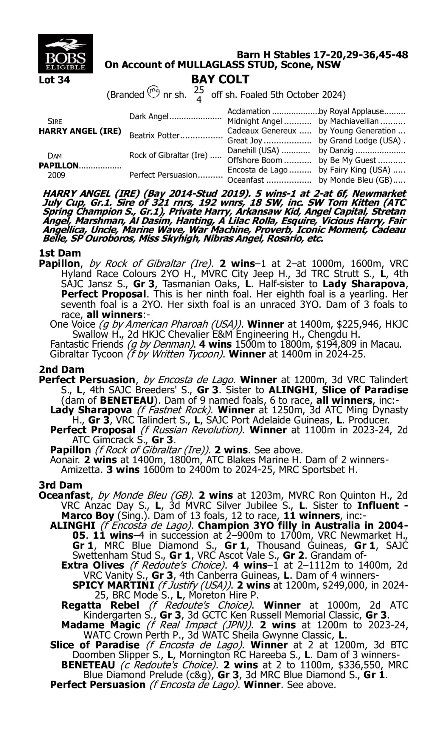 Pedigree for Lot 34 Harry Angel (IRE) - Papillon