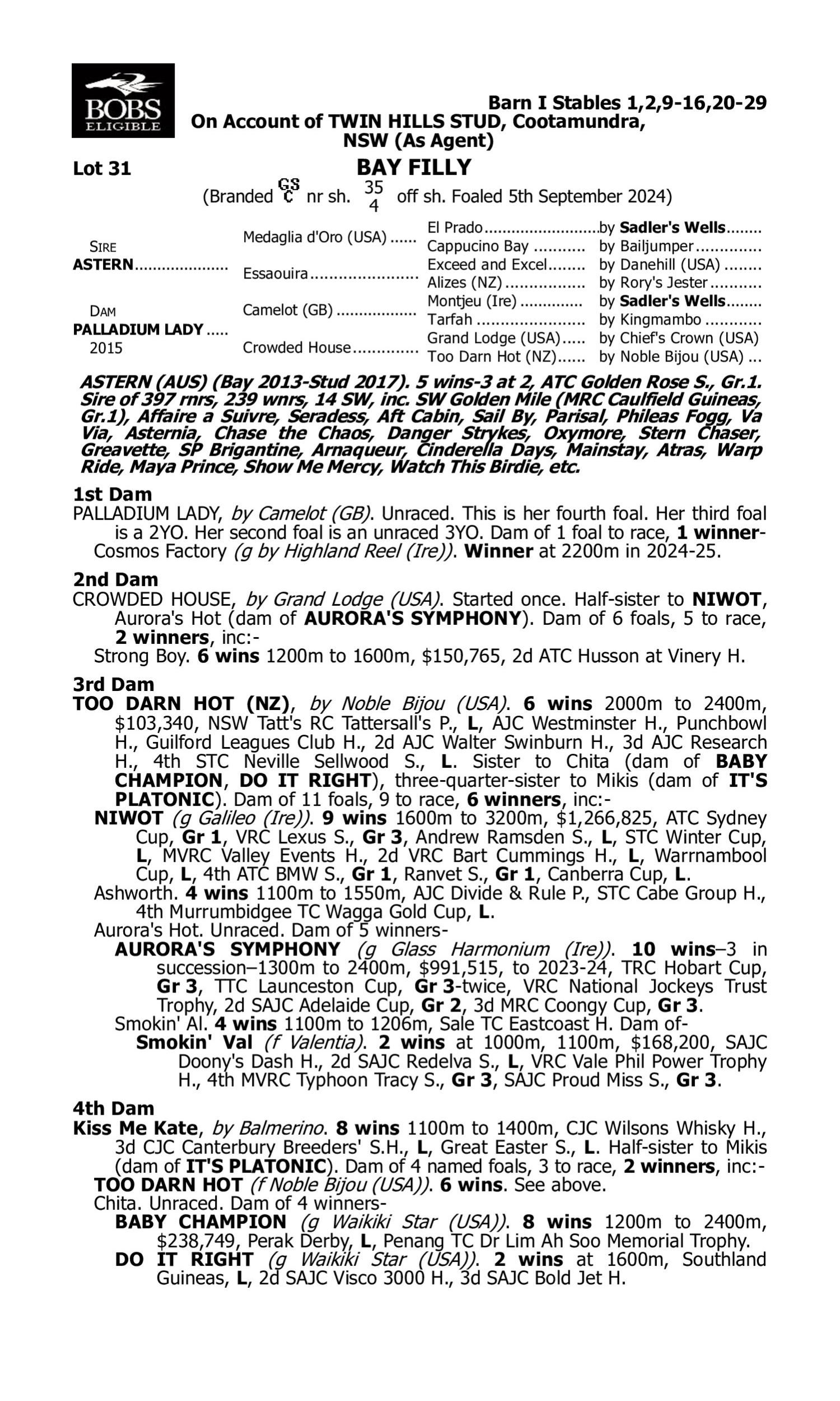 Pedigree for Lot 31 Astern - Palladium Lady