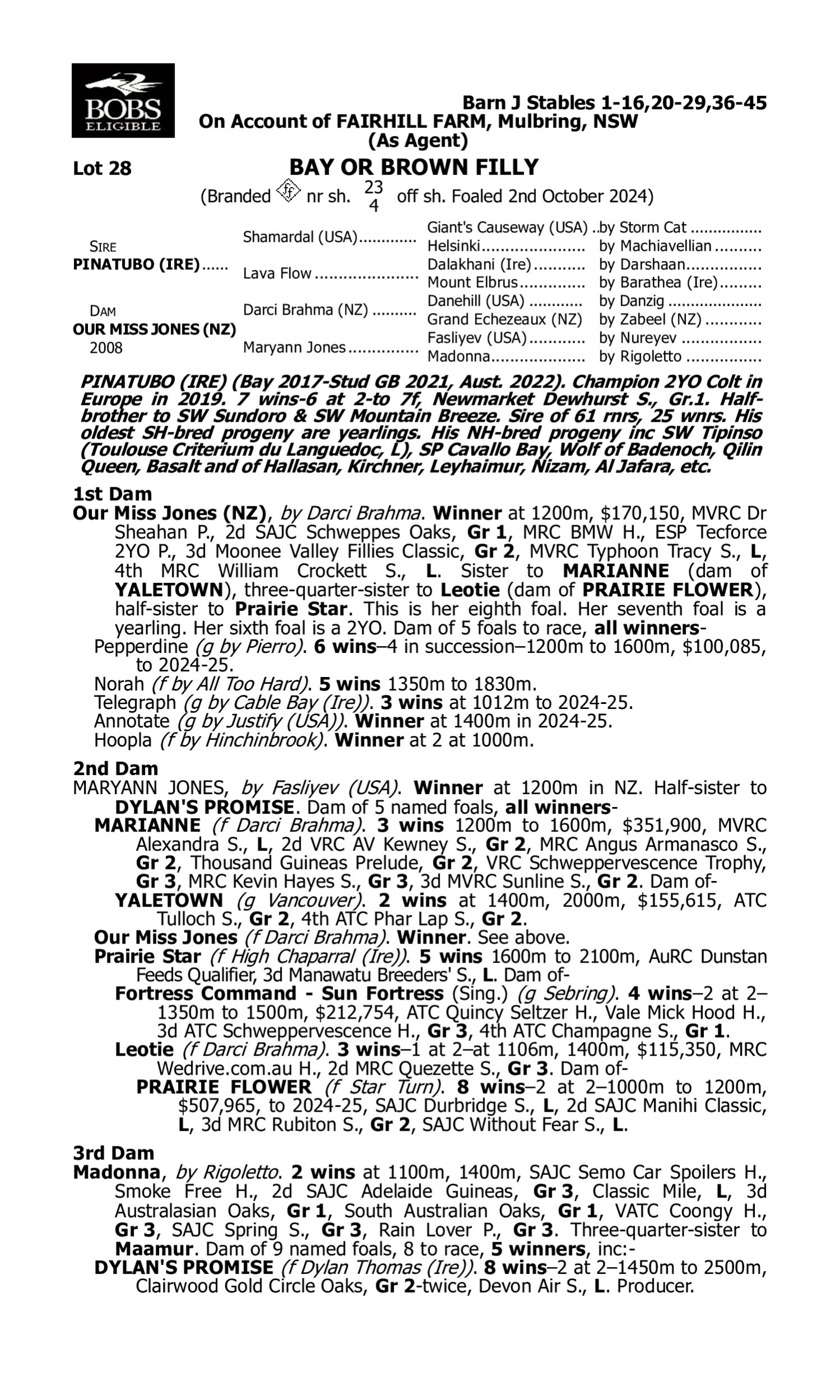 Pedigree for Lot 28 Pinatubo (IRE) - Our Miss Jones (NZ)