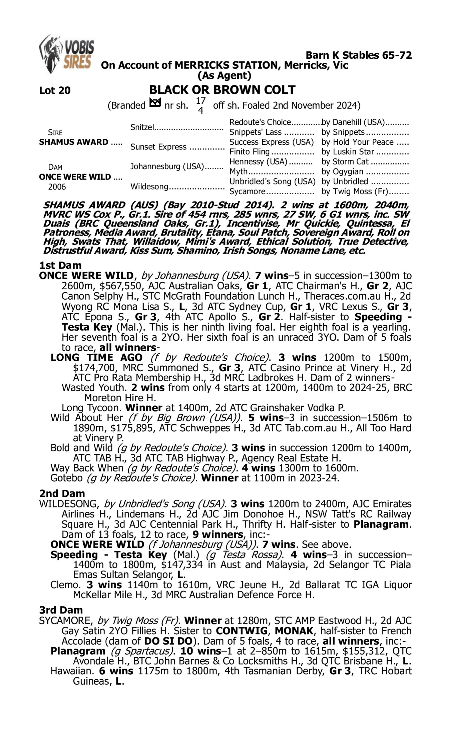 Pedigree for Lot 20 Shamus Award - Once Were Wild