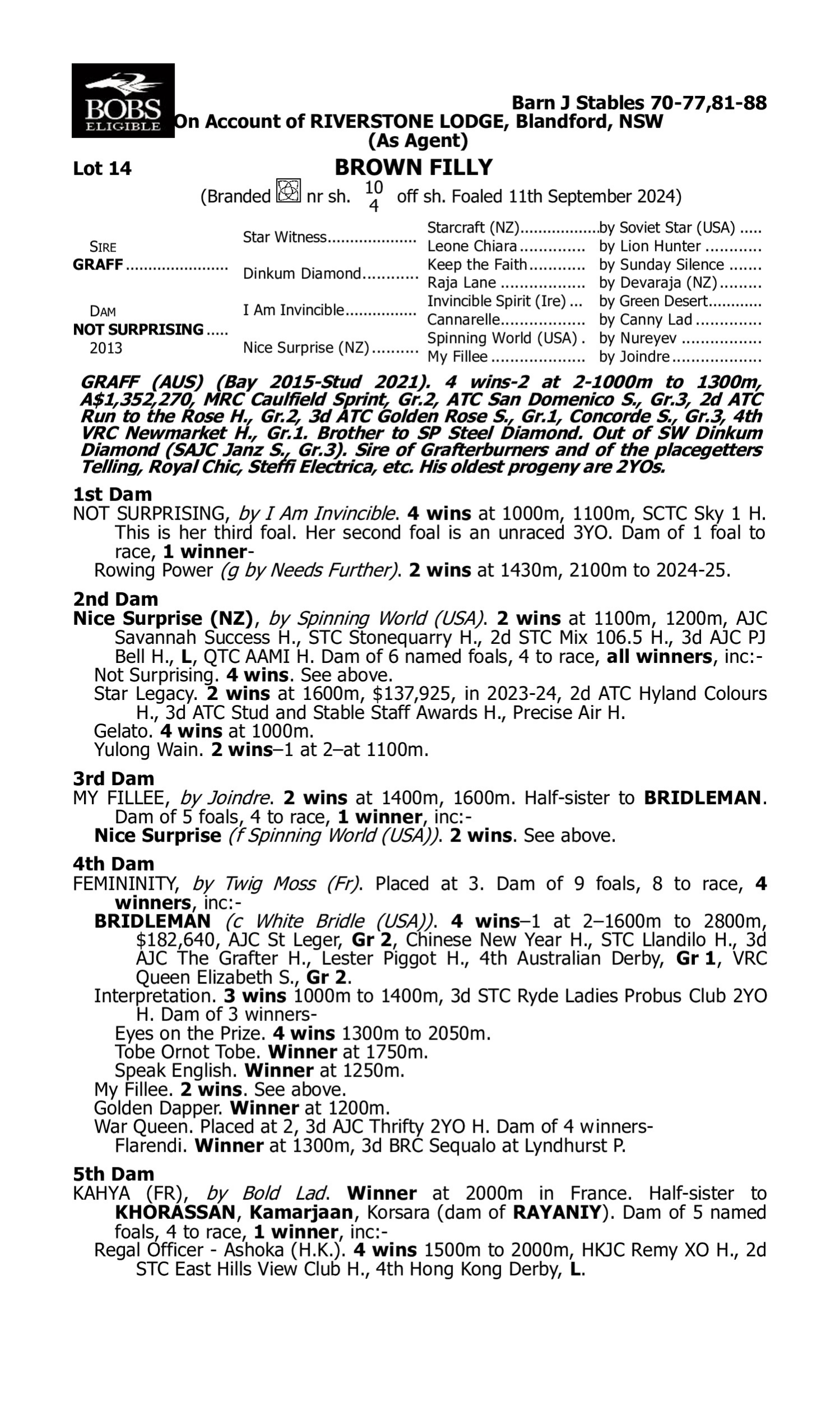 Pedigree for Lot 14 Graff - Not Surprising