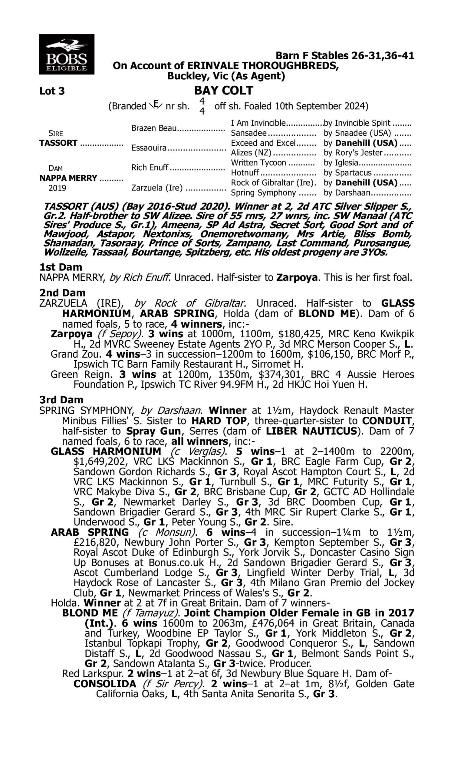 Pedigree for Lot 3 Tassort - Nappa Merry