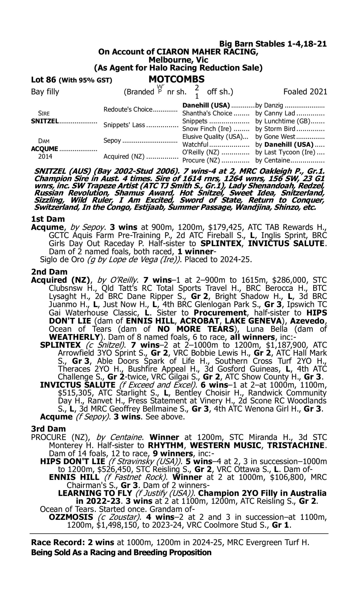 Pedigree for Lot 86 Snitzel - Acqume