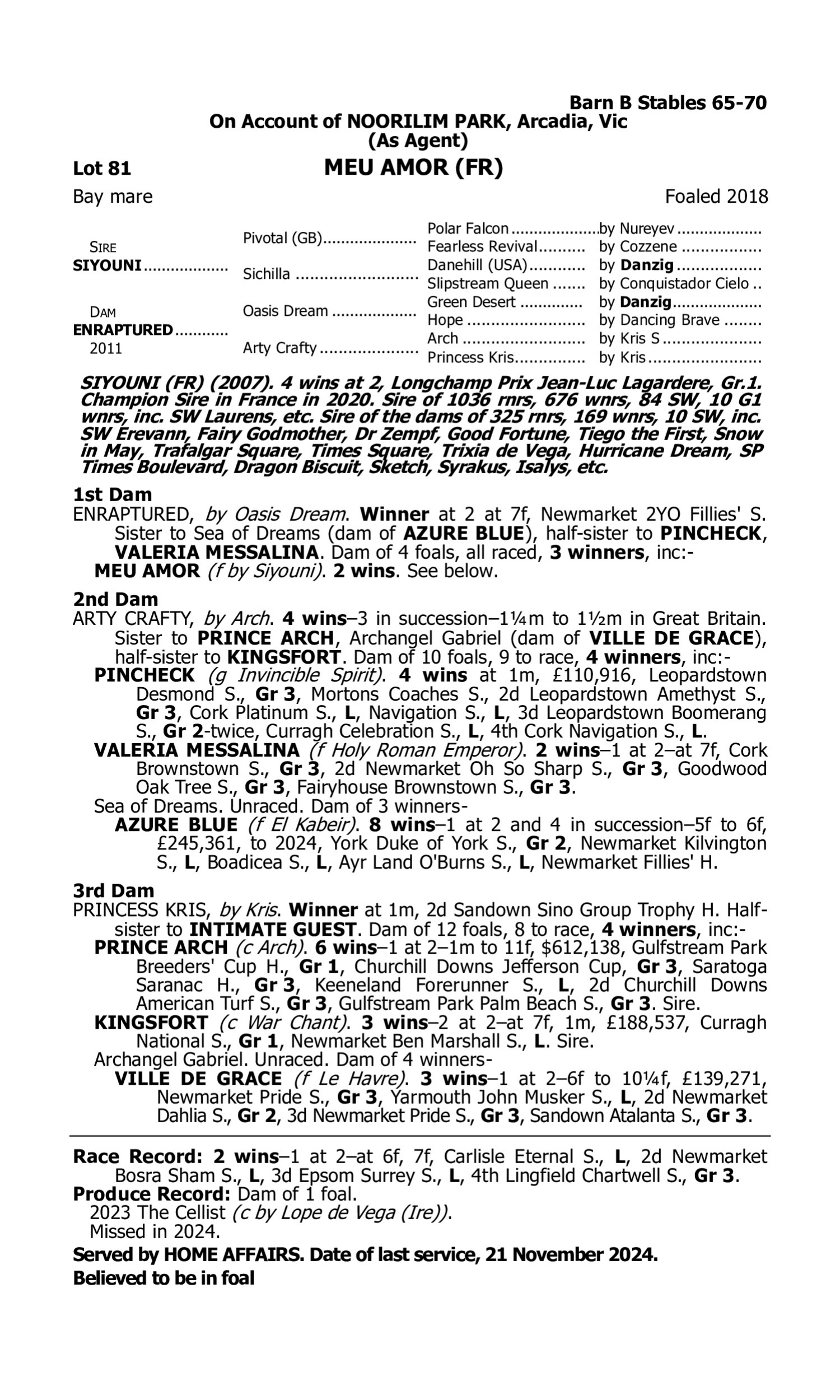 Pedigree for Lot 81 Siyouni (FR) - Enraptured (IRE)