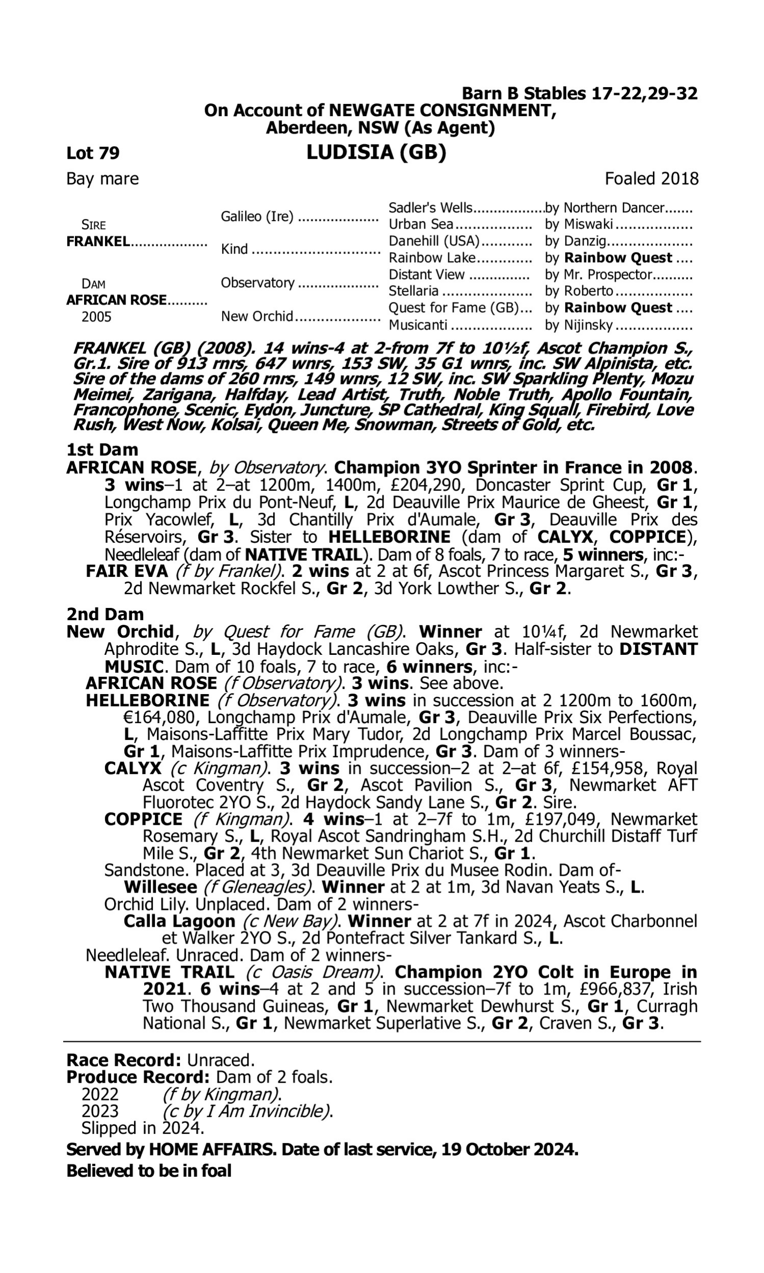 Pedigree for Lot 79 Frankel (GB) - African Rose (GB)