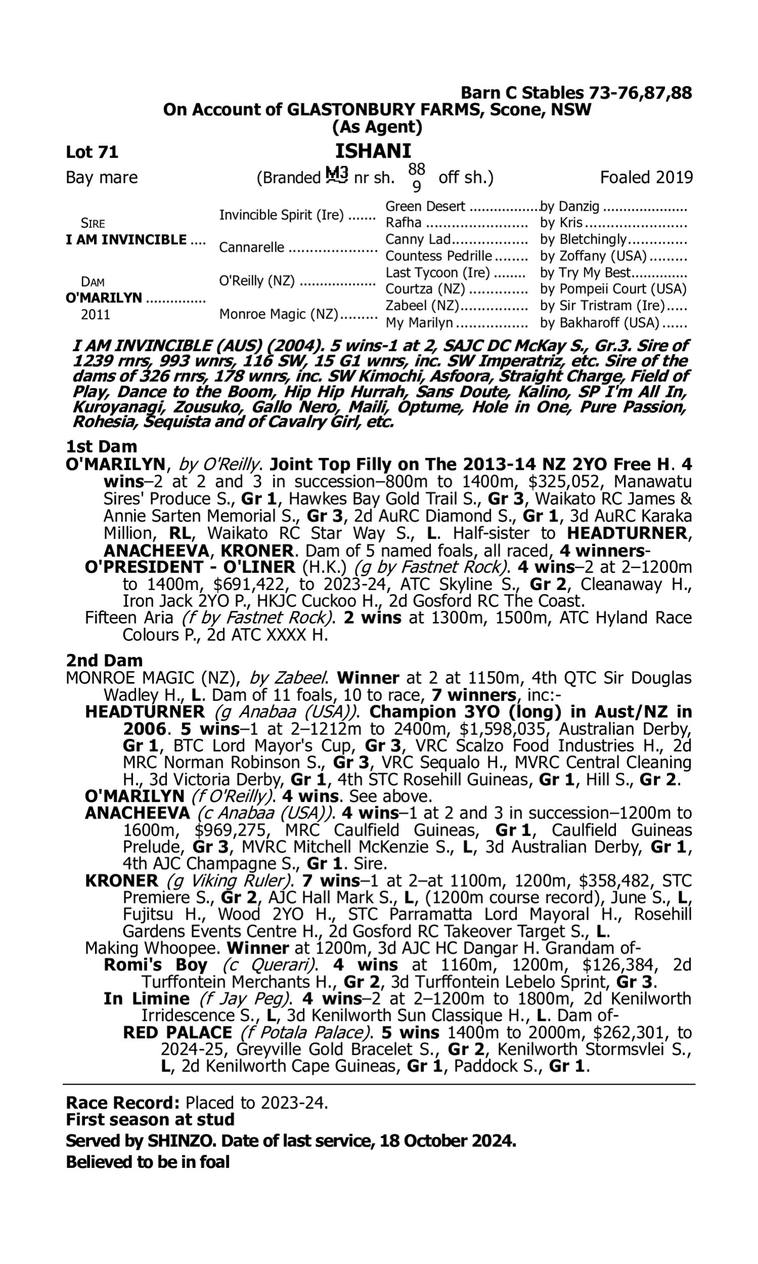Pedigree for Lot 71 I Am Invincible - O'Marilyn