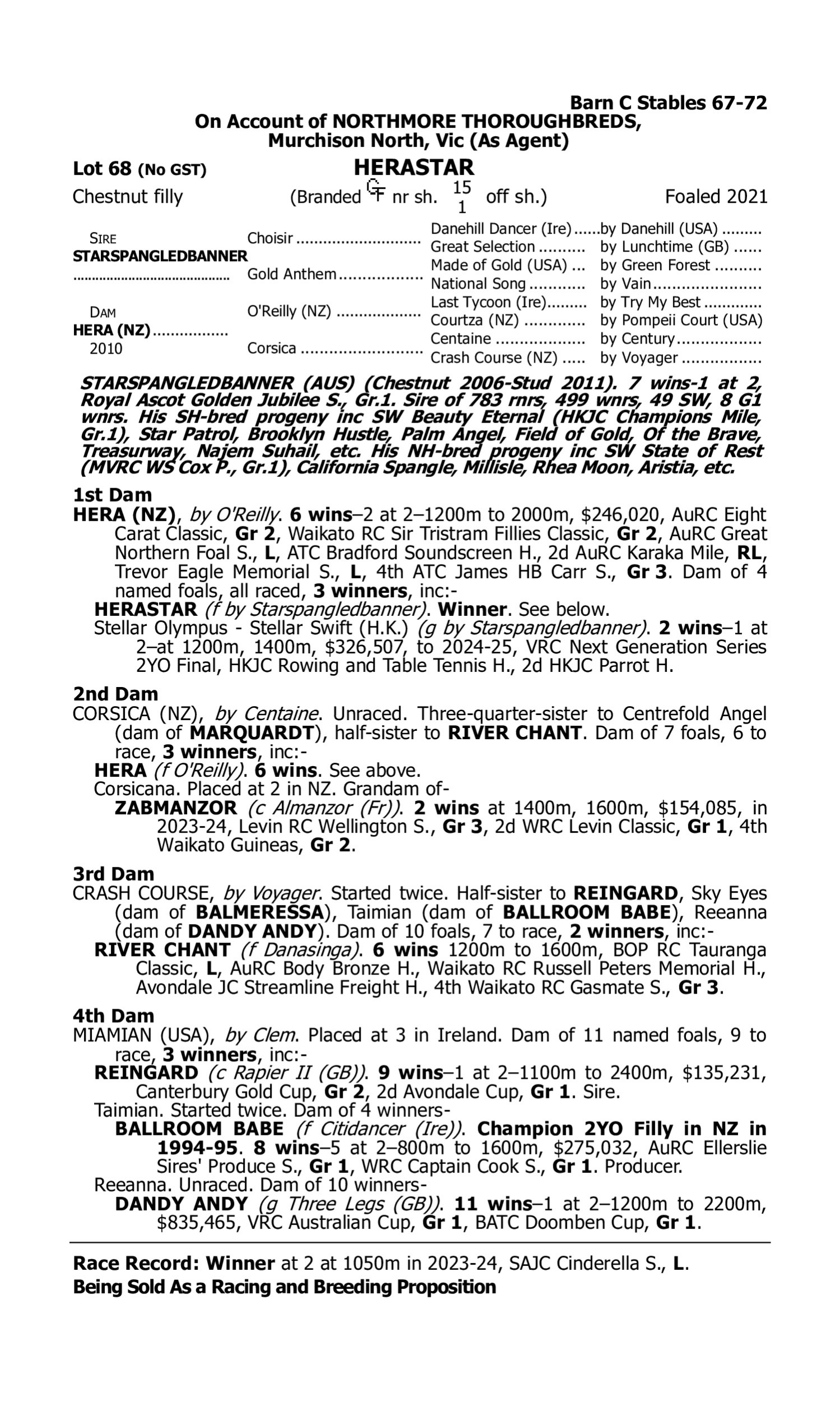 Pedigree for Lot 68 Starspangledbanner - Hera (NZ)