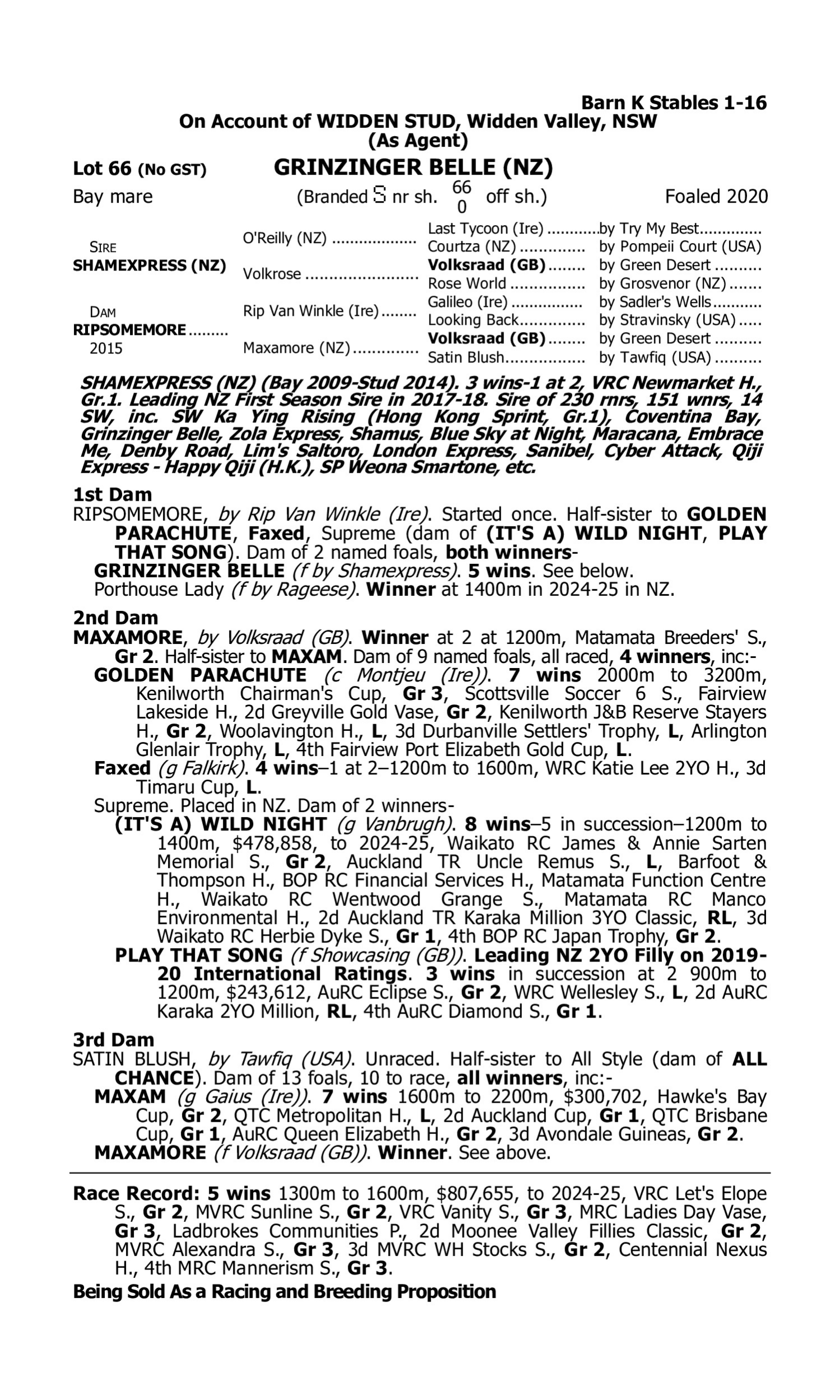 Pedigree for Lot 66 Shamexpress (NZ) - Ripsomemore (NZ)