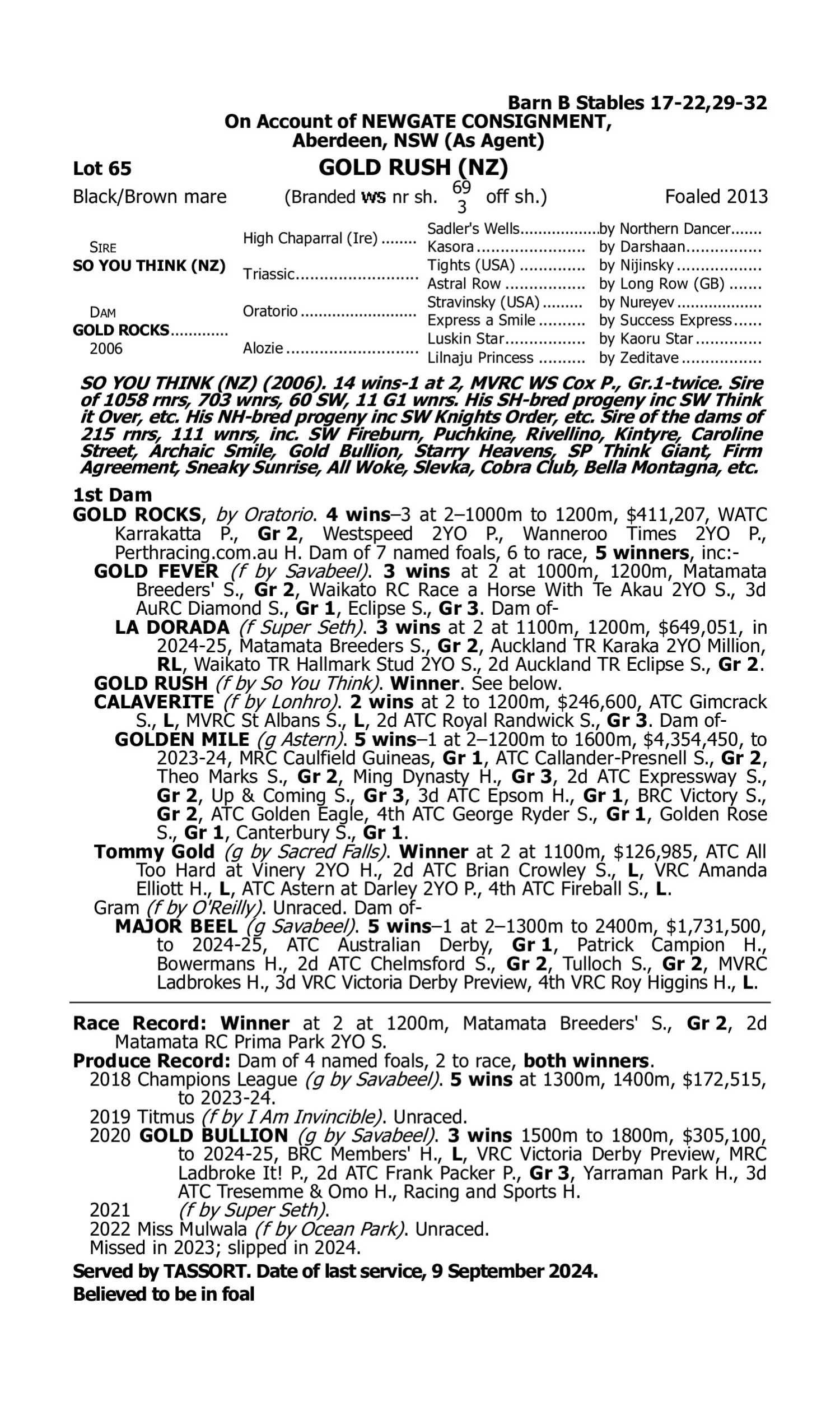 Pedigree for Lot 65 So You Think (NZ) - Gold Rocks