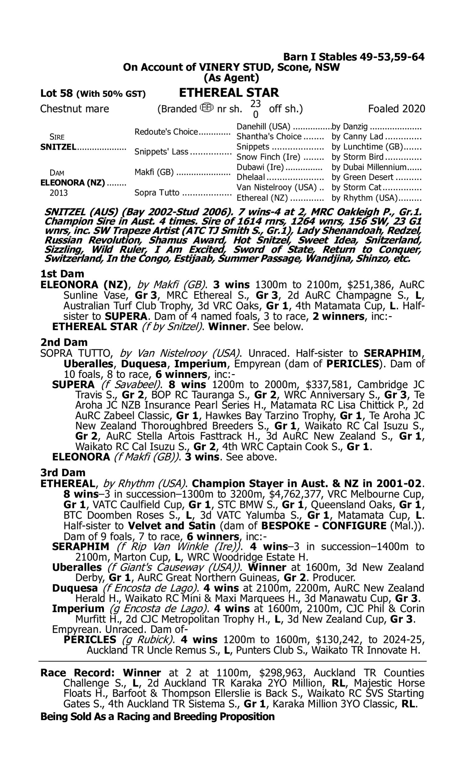 Pedigree for Lot 58 Snitzel - Eleonora (NZ)