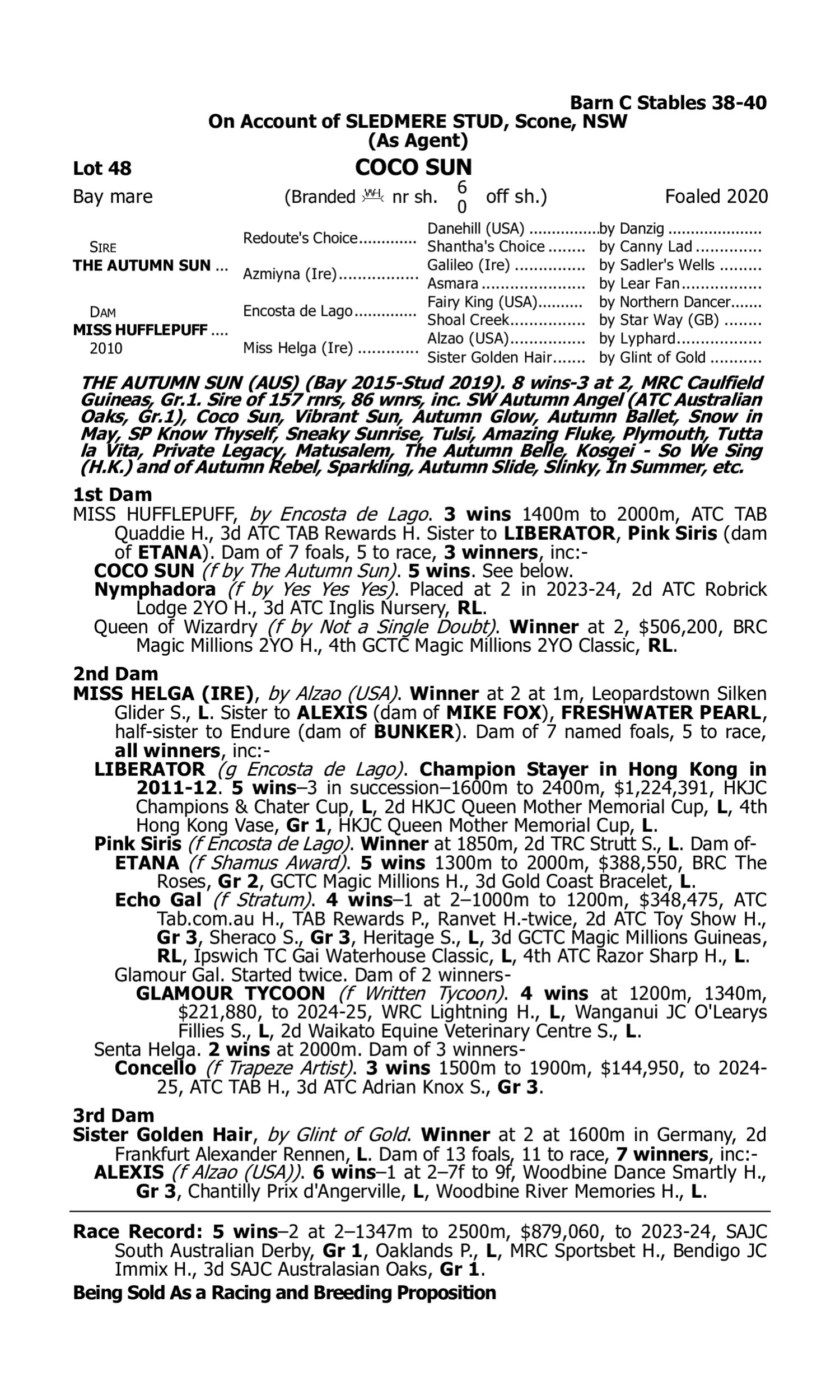 Pedigree for Lot 48 The Autumn Sun - Miss Hufflepuff