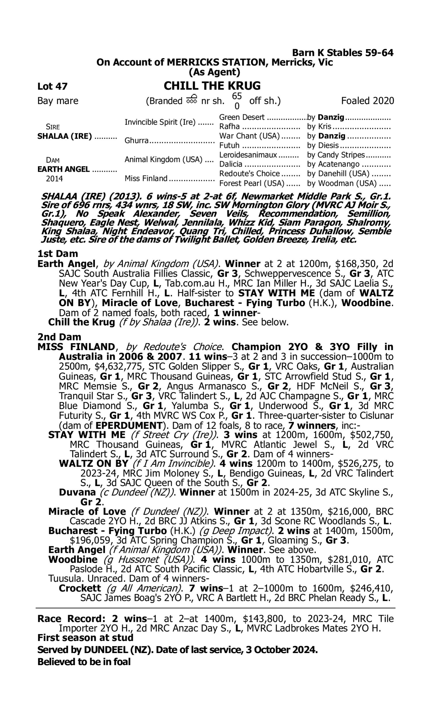Pedigree for Lot 47 Shalaa (IRE) - Earth Angel