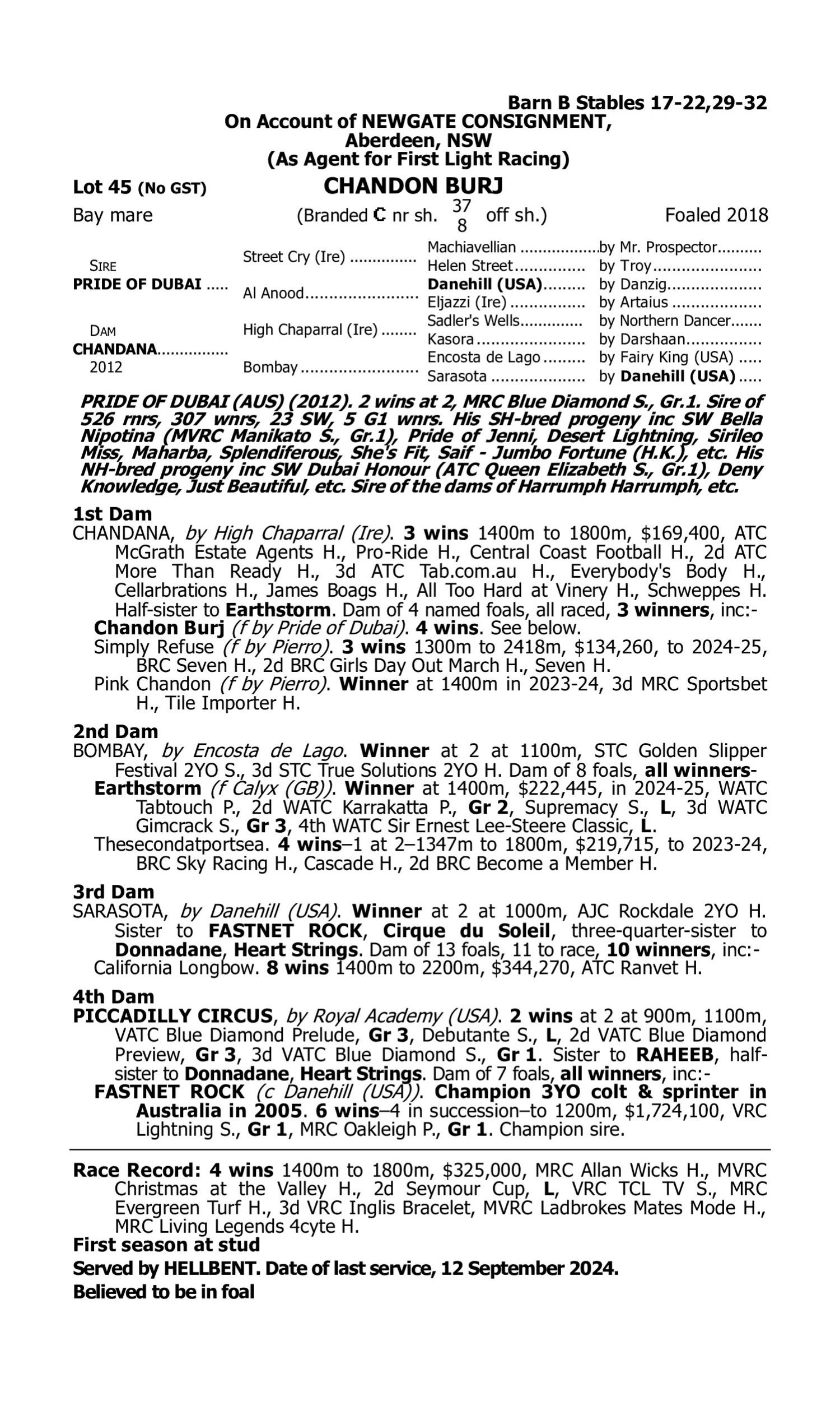 Pedigree for Lot 45 Pride of Dubai - Chandana