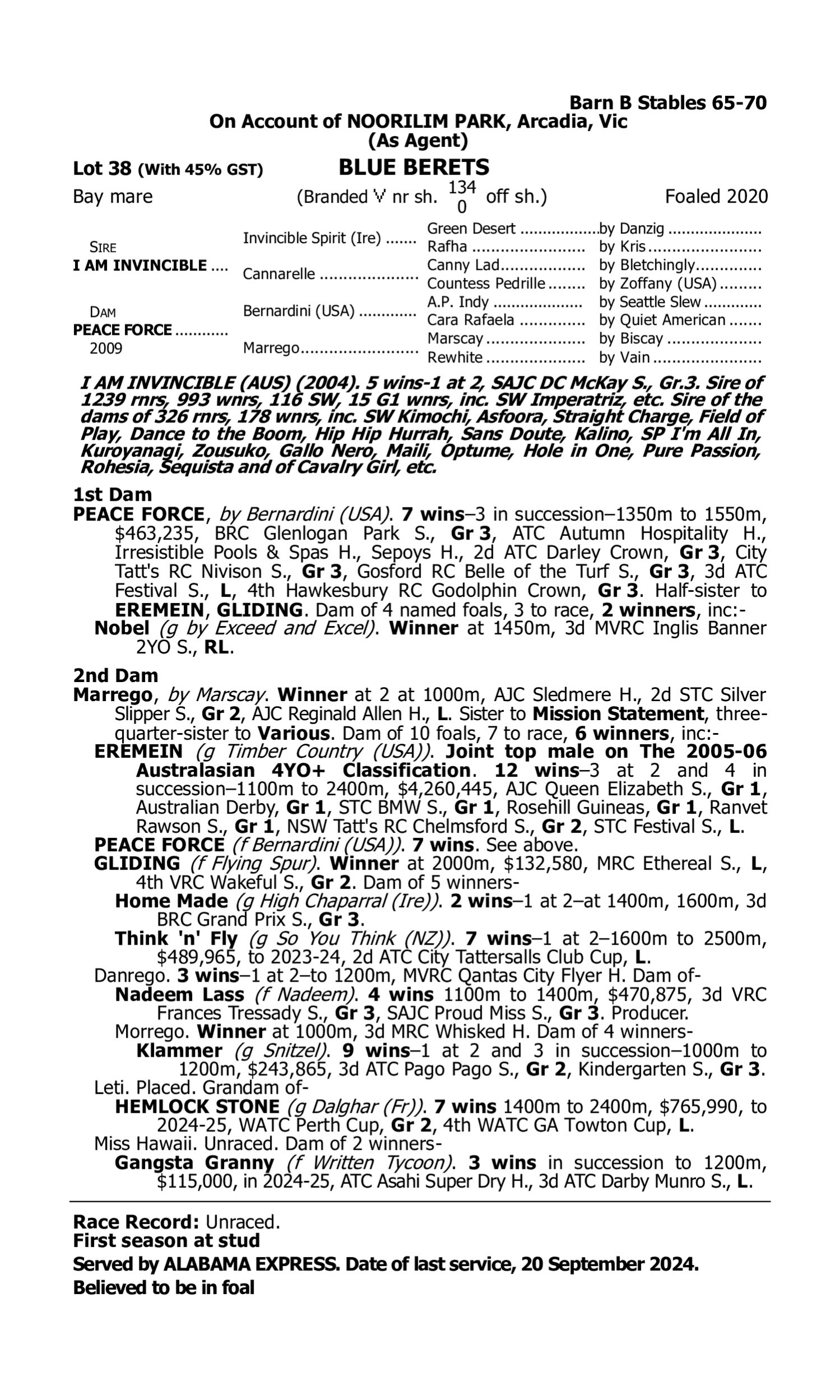 Pedigree for Lot 38 I Am Invincible - Peace Force