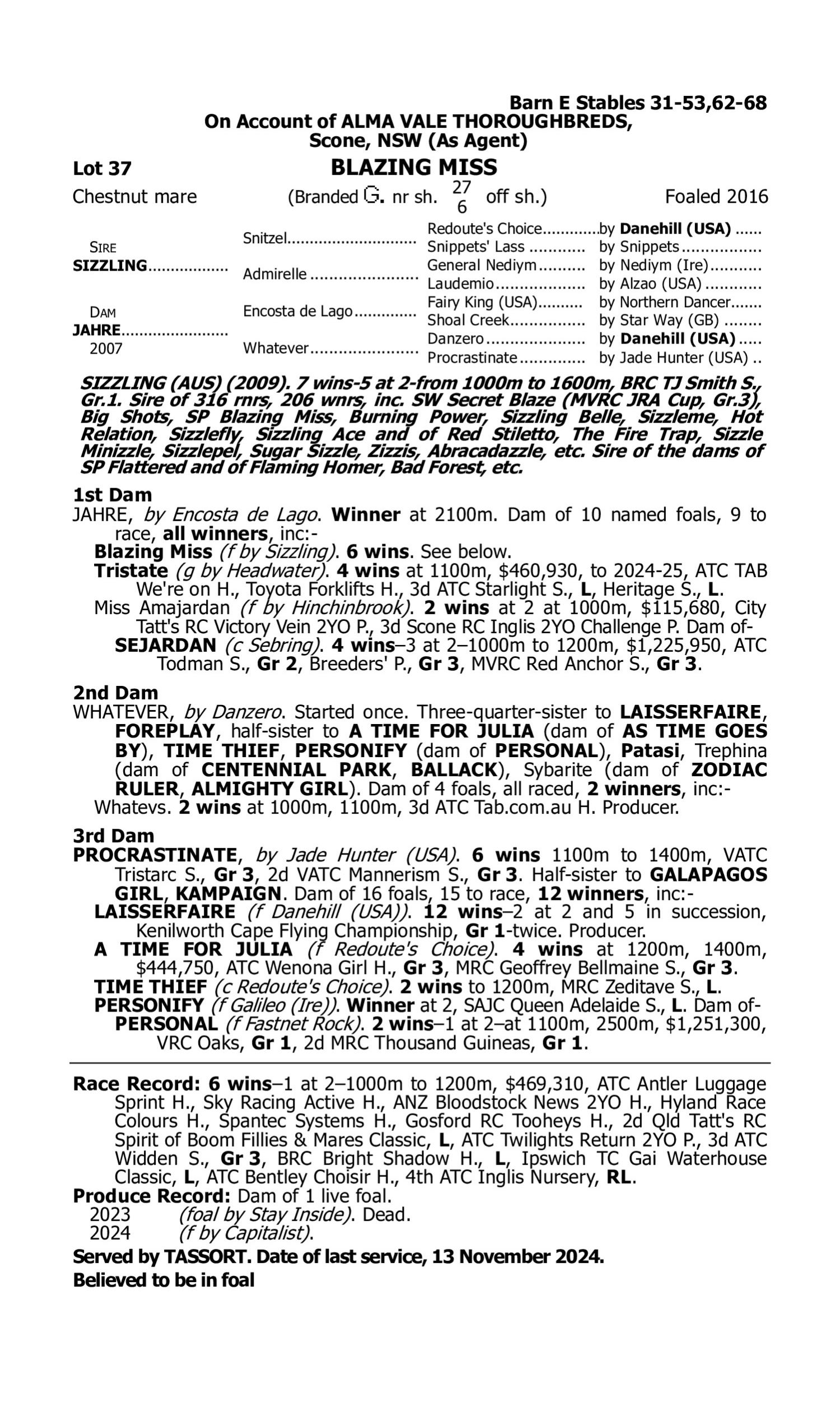 Pedigree for Lot 37 Sizzling - Jahre