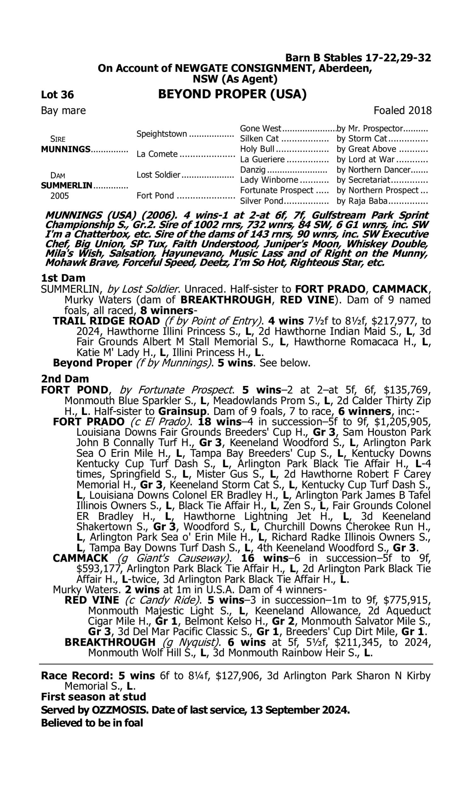 Pedigree for Lot 36 Munnings (USA) - Summerlin (USA)
