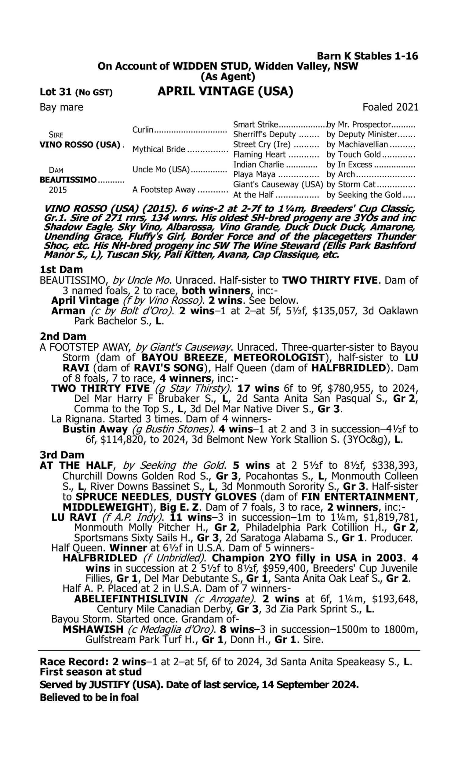 Pedigree for Lot 31 Vino Rosso (USA) - Beautissimo (USA)