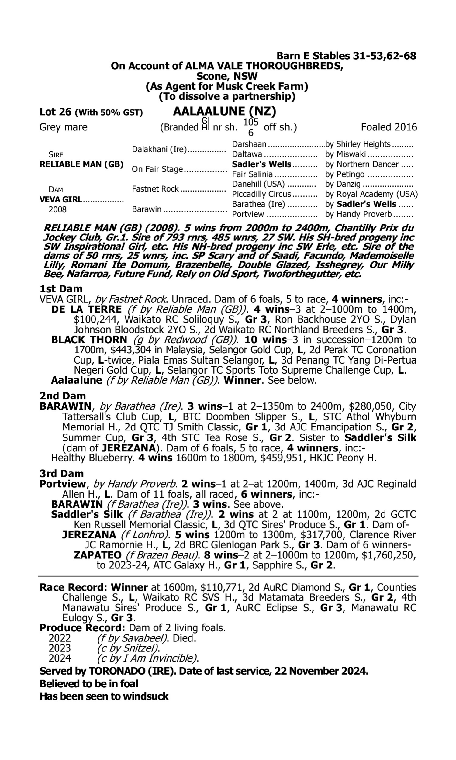 Pedigree for Lot 26 Reliable Man (GB) - Veva Girl