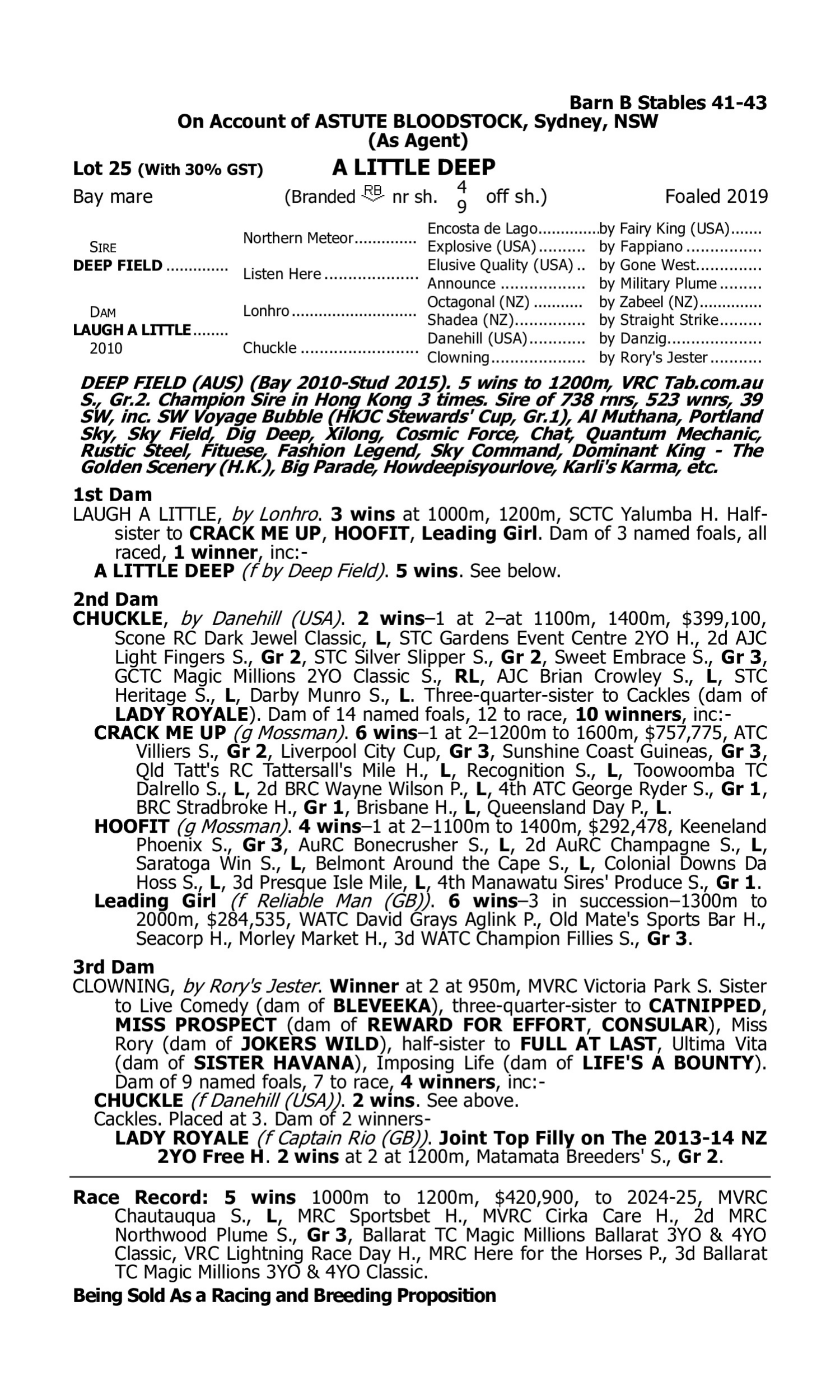 Pedigree for Lot 25 Deep Field - Laugh a Little