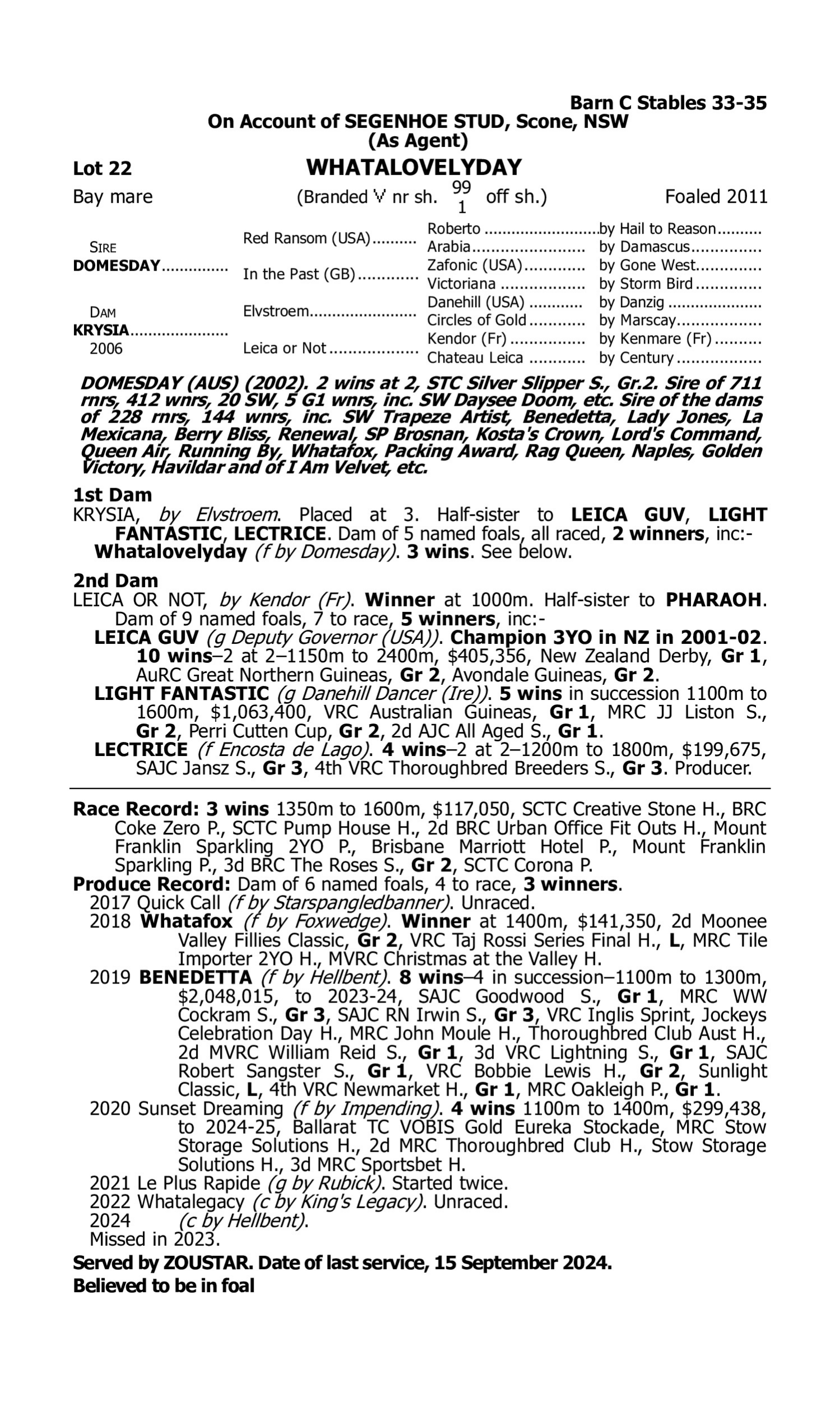 Pedigree for Lot 22 Domesday - Krysia