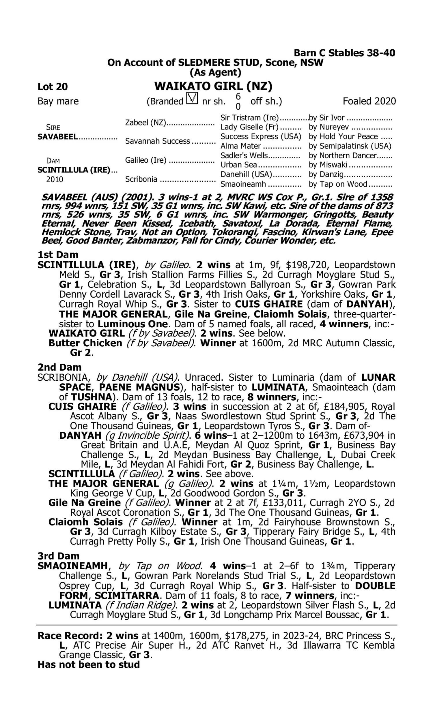 Pedigree for Lot 20 Savabeel - Scintillula (IRE)