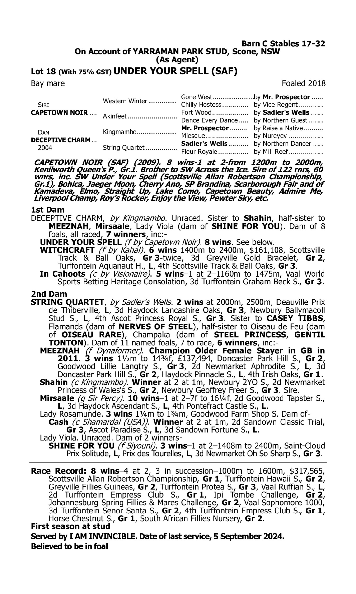 Pedigree for Lot 18 Capetown Noir (SAF) - Deceptive Charm (IRE)