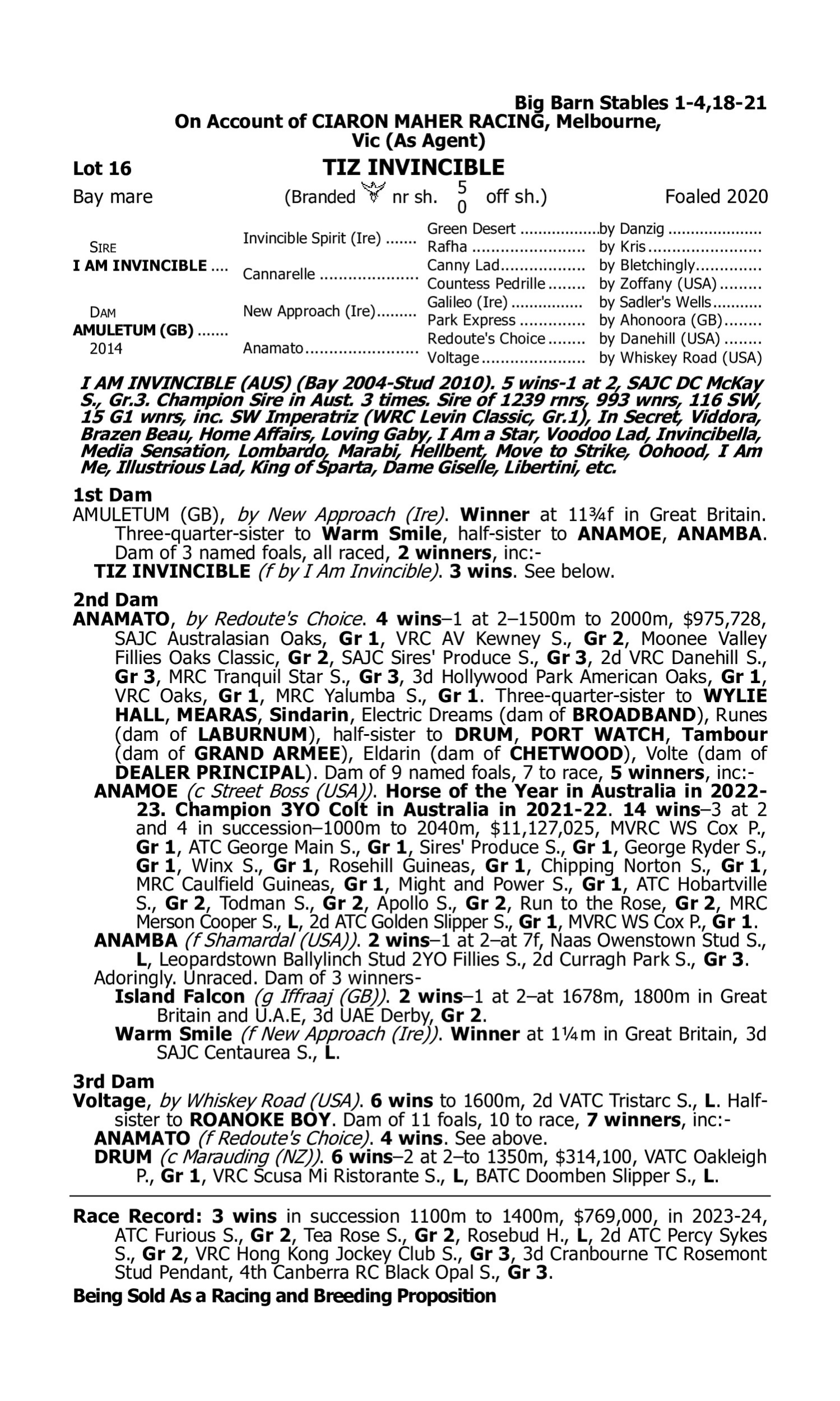 Pedigree for Lot 16 I Am Invincible - Amuletum (GB)