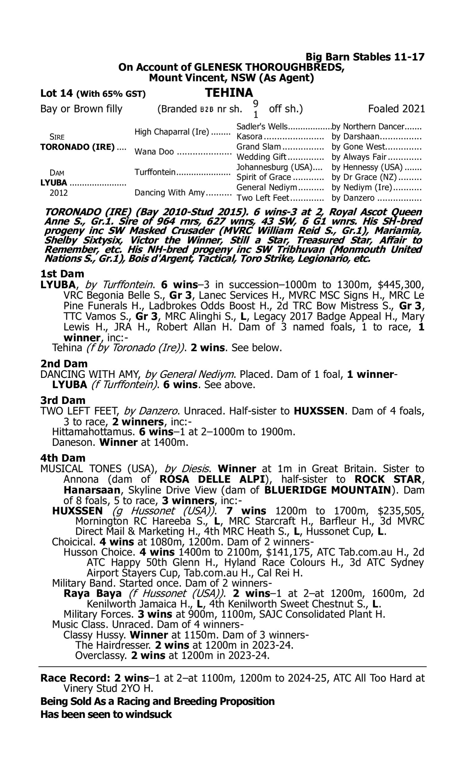 Pedigree for Lot 14 Toronado (IRE) - Lyuba
