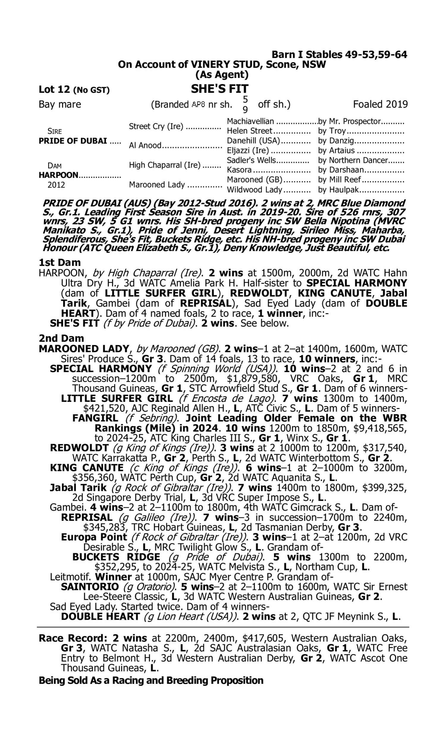 Pedigree for Lot 12 Pride of Dubai - Harpoon