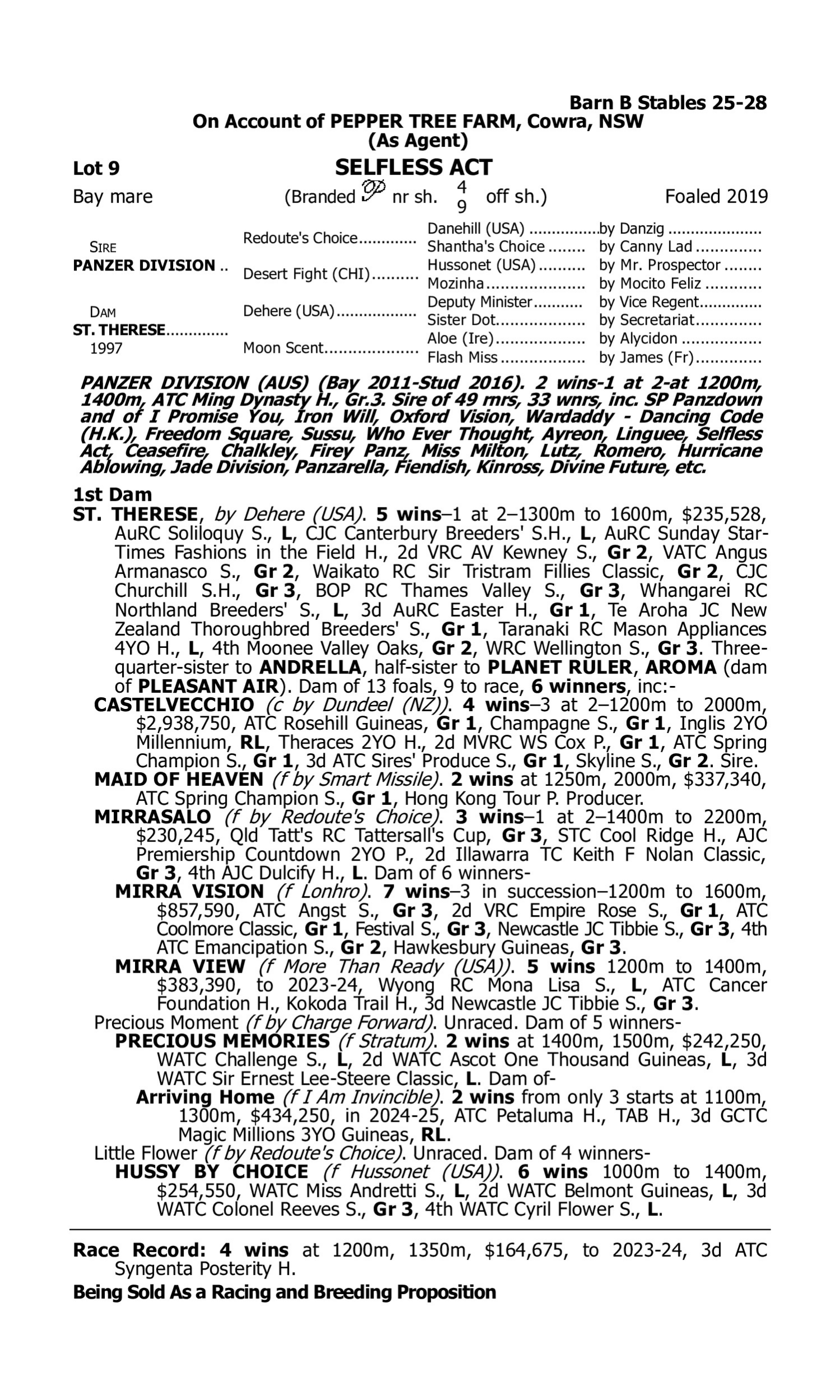 Pedigree for Lot 9 Panzer Division - St. Therese