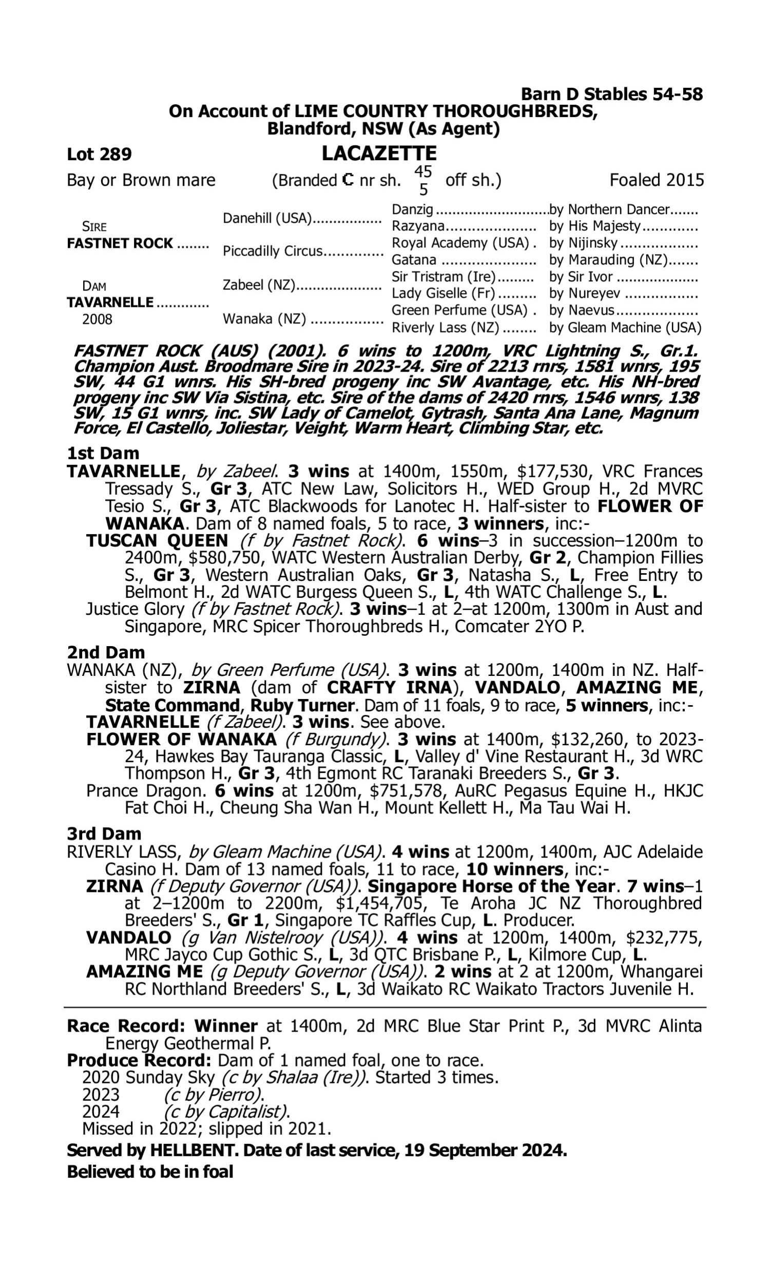 Pedigree for Lot 289 Fastnet Rock - Tavarnelle