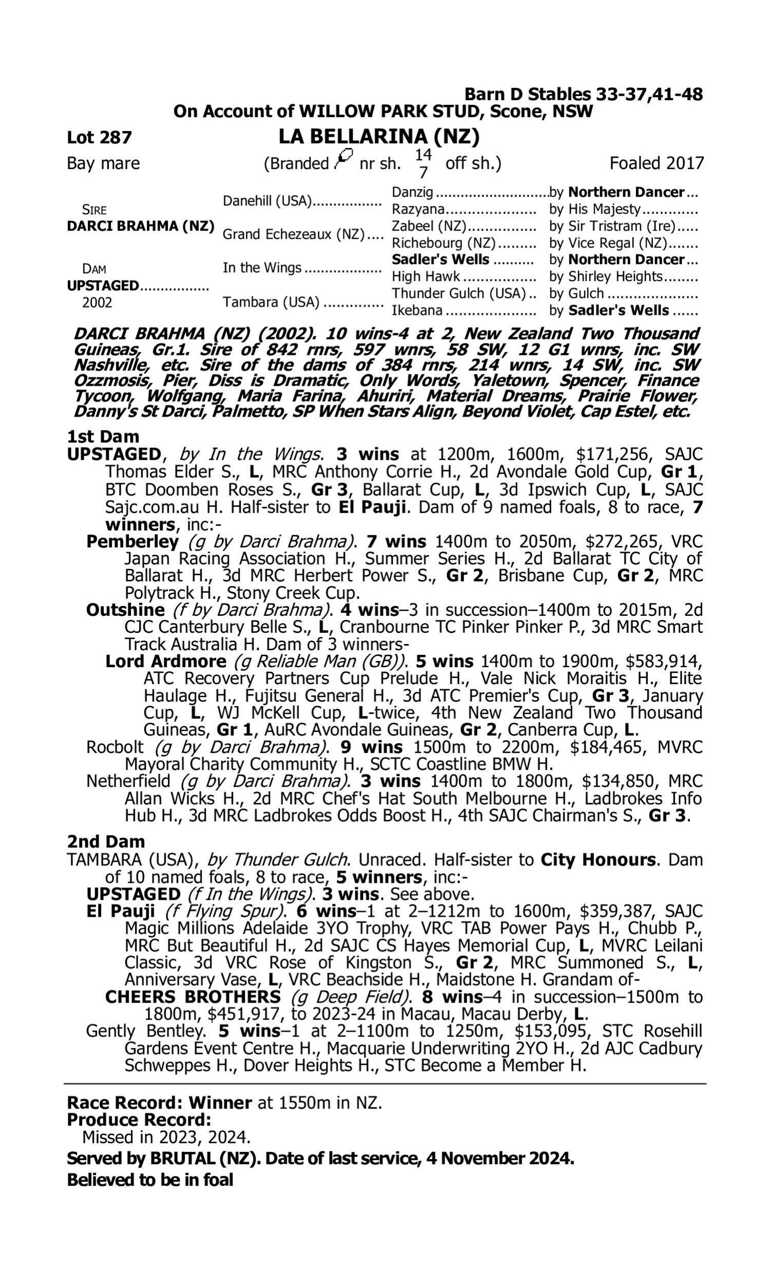 Pedigree for Lot 287 Darci Brahma (NZ) - Upstaged