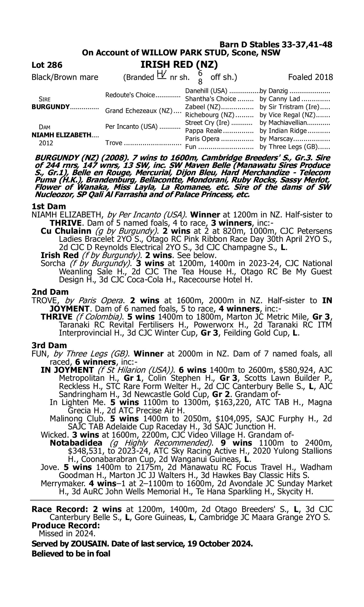 Pedigree for Lot 286 Burgundy (NZ) - Niamh Elizabeth (NZ)