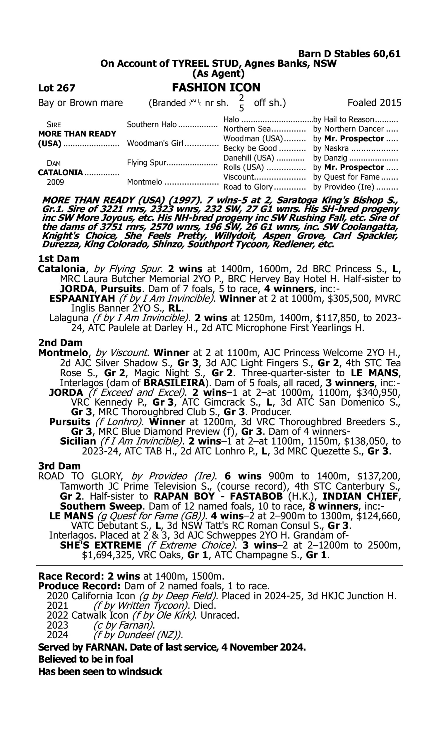 Pedigree for Lot 267 More Than Ready (USA) - Catalonia