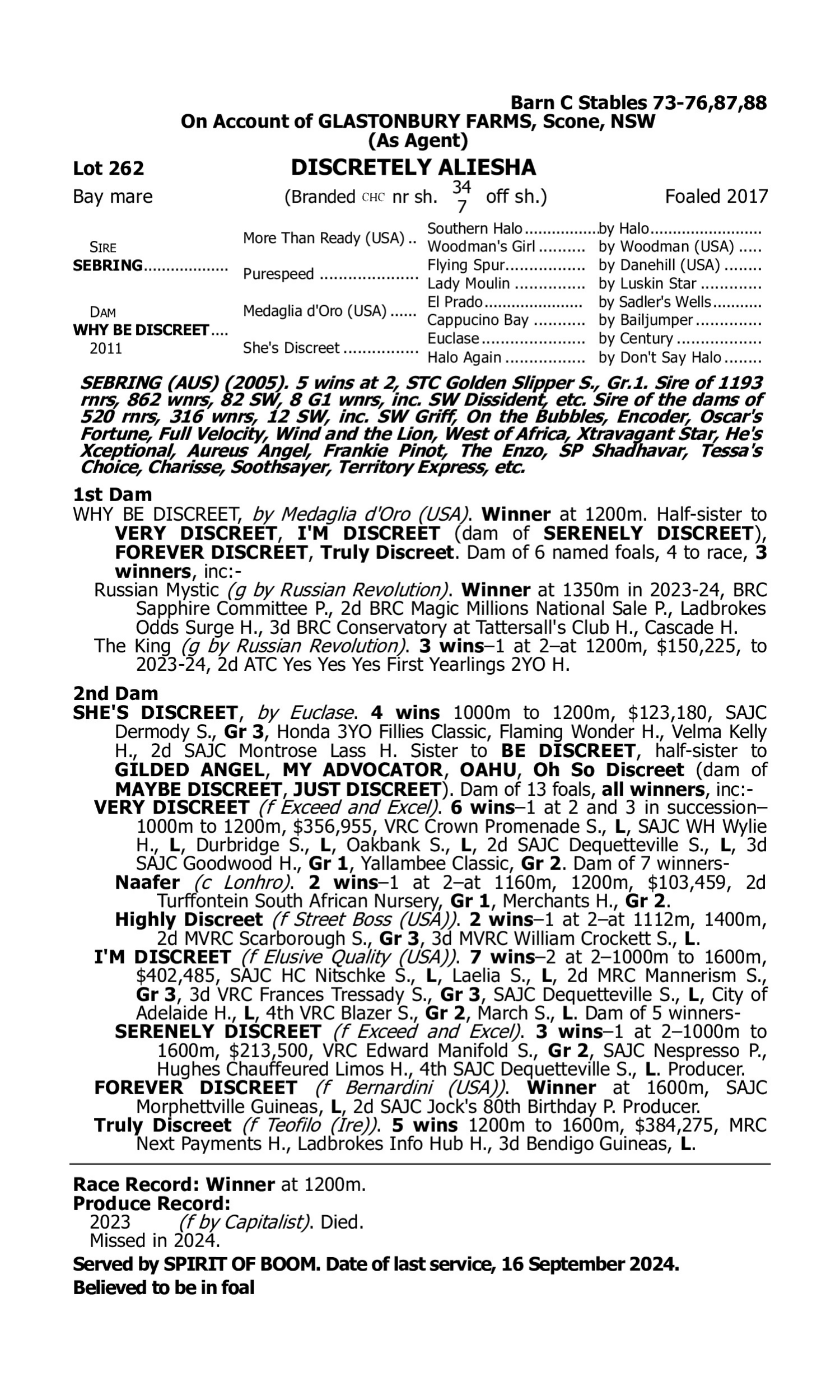 Pedigree for Lot 262 Sebring - Why be Discreet