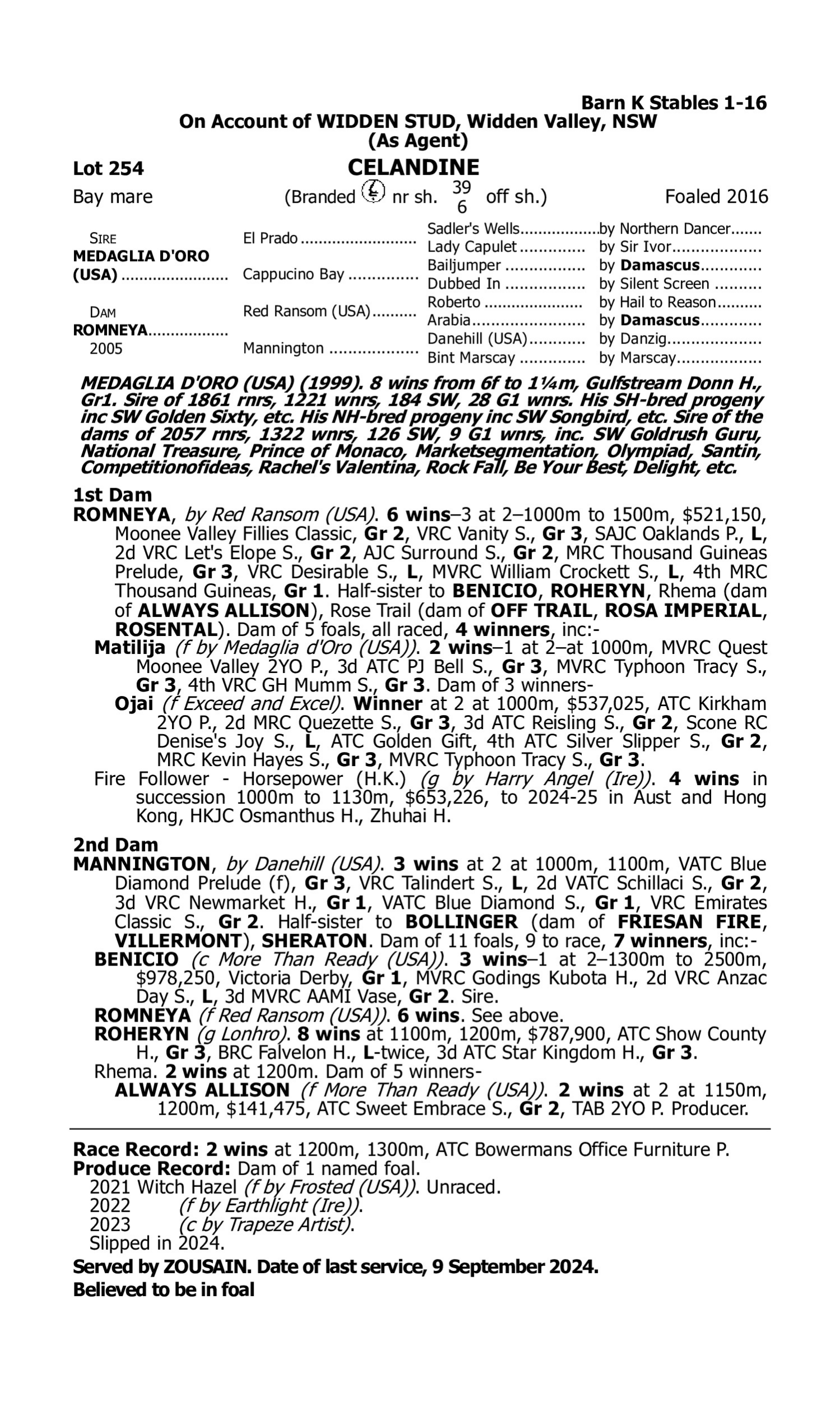 Pedigree for Lot 254 Medaglia D'oro (USA) - Romneya