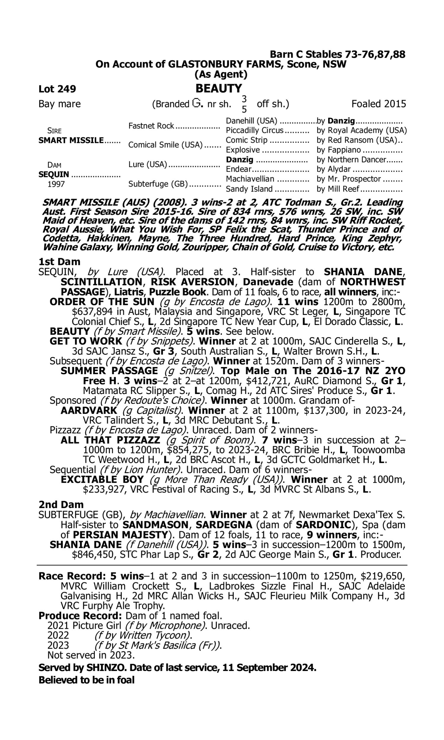 Pedigree for Lot 249 Smart Missile - Sequin