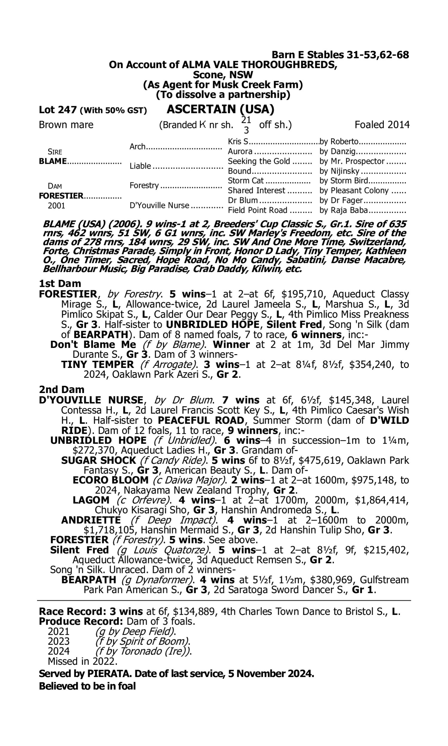 Pedigree for Lot 247 Blame (USA) - Forestier (USA)