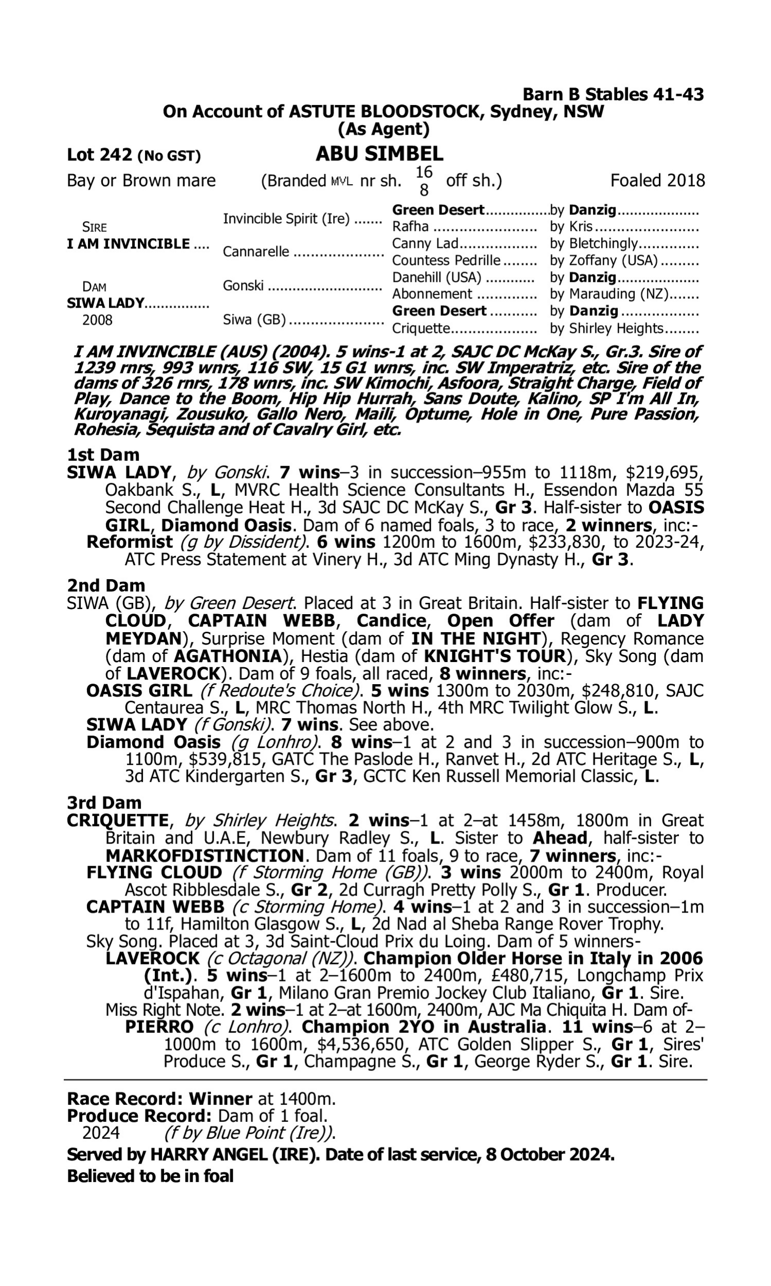 Pedigree for Lot 242 I Am Invincible - Siwa Lady
