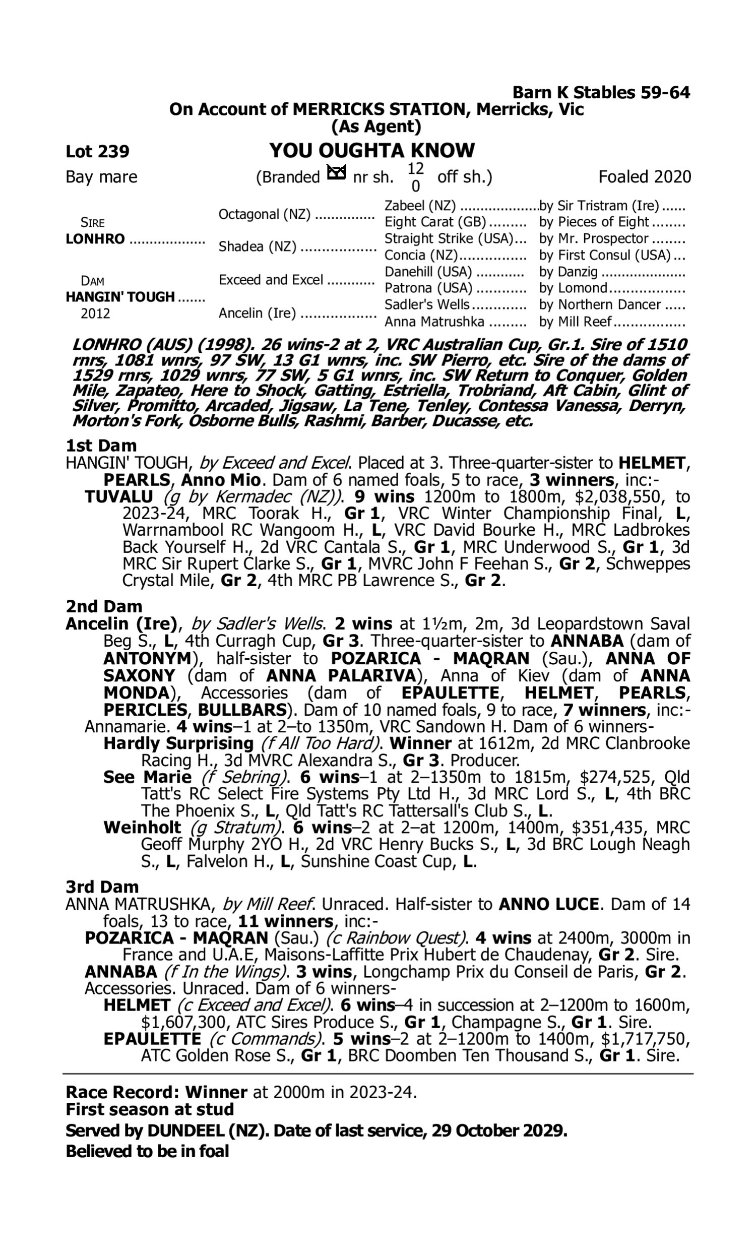 Pedigree for Lot 239 Lonhro - Hangin' Tough