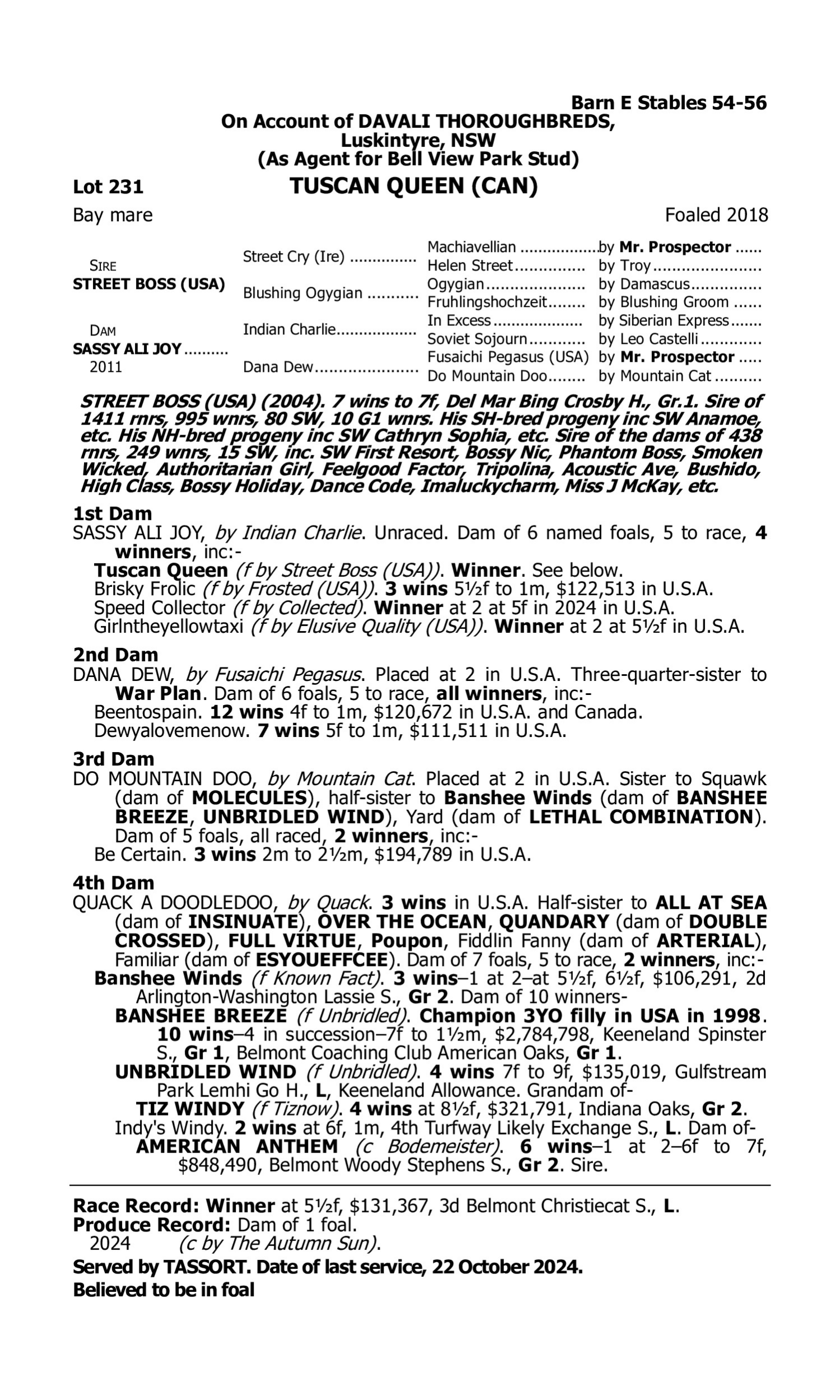Pedigree for Lot 231 Street Boss (USA) - Sassy Ali Joy (USA)