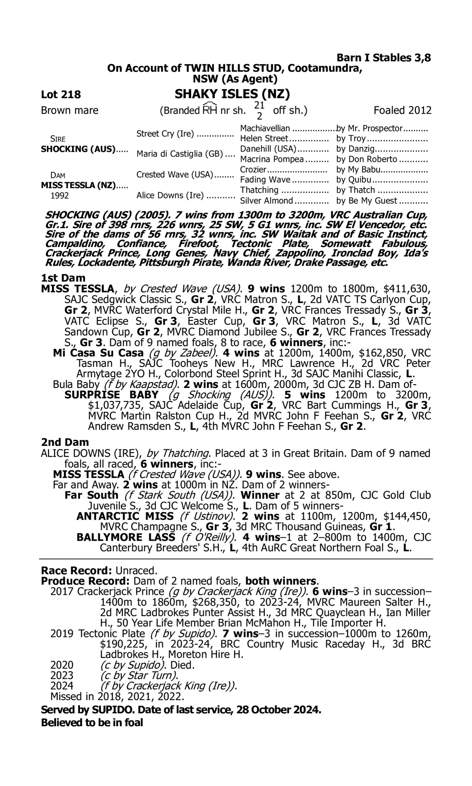 Pedigree for Lot 218 Shocking - Miss Tessla (NZ)