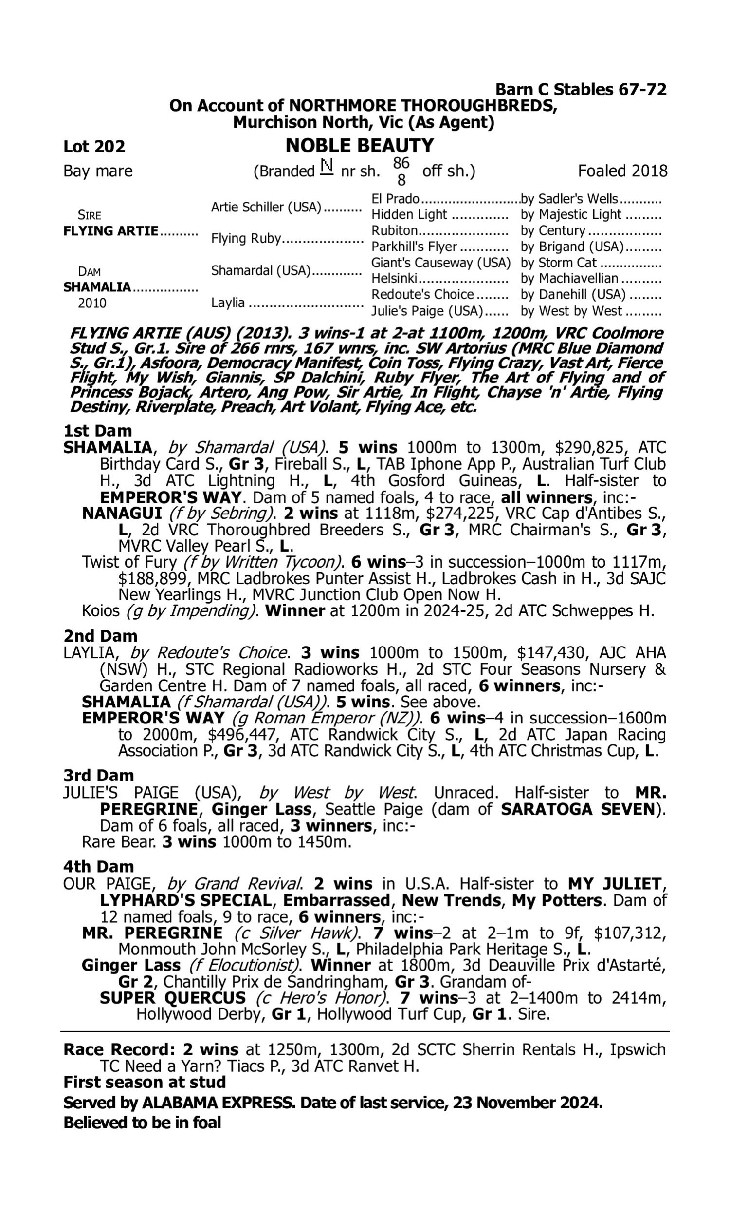 Pedigree for Lot 202 Flying Artie - Shamalia