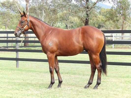 Lot 345: I Am Invincible / Devious Rumor (USA)
