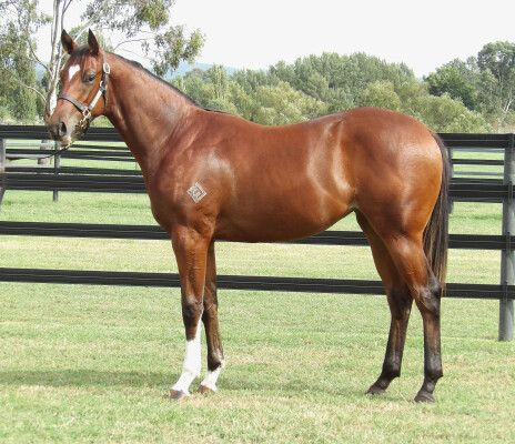 Lot 391: Zoustar / Gone Glimmering (USA)
