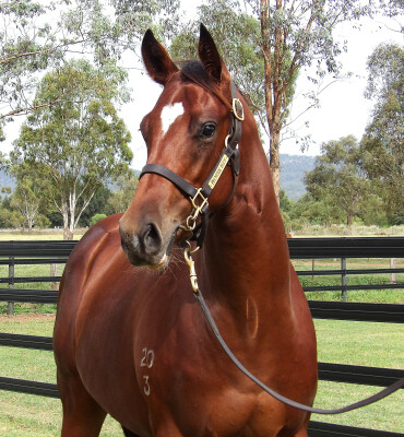 Lot 391: Zoustar / Gone Glimmering (USA)