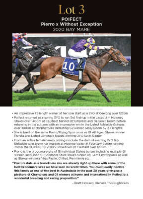 Lot 3: Pierro / Without Exception