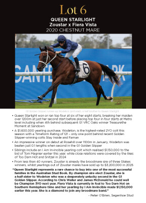 Lot 6: Zoustar / Fiera Vista